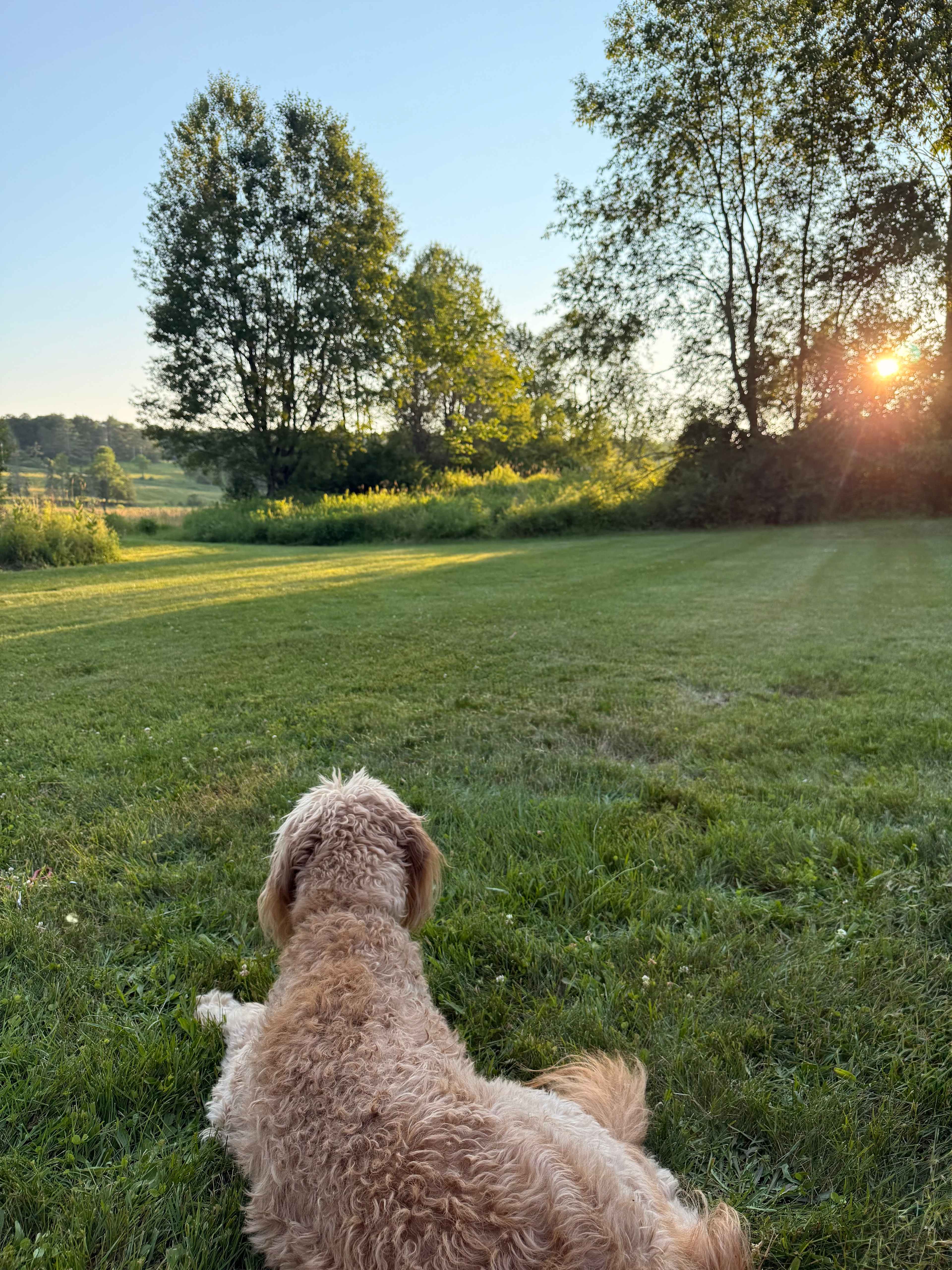 Peck Farm Orchard Pond