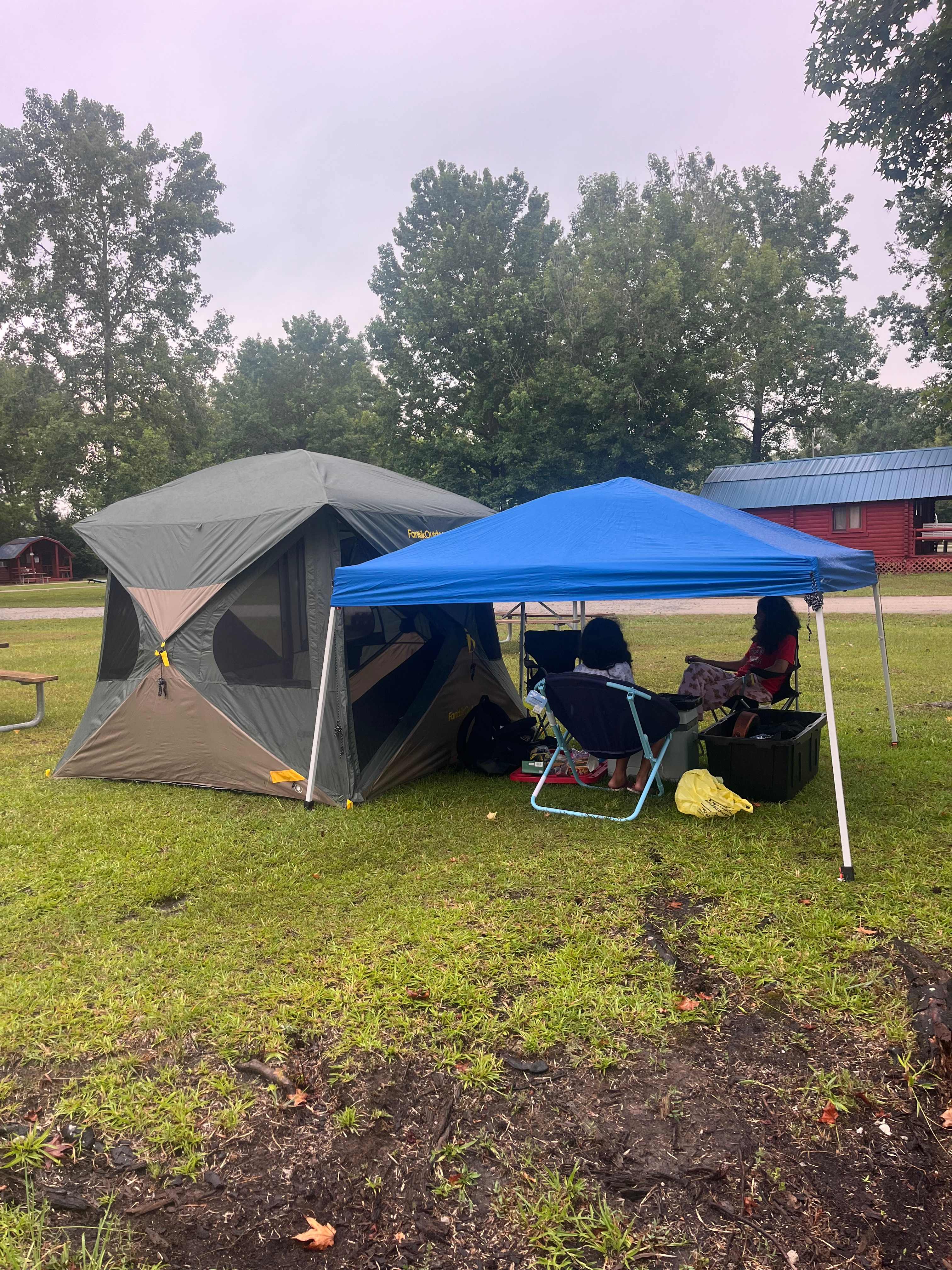 Picture of the site