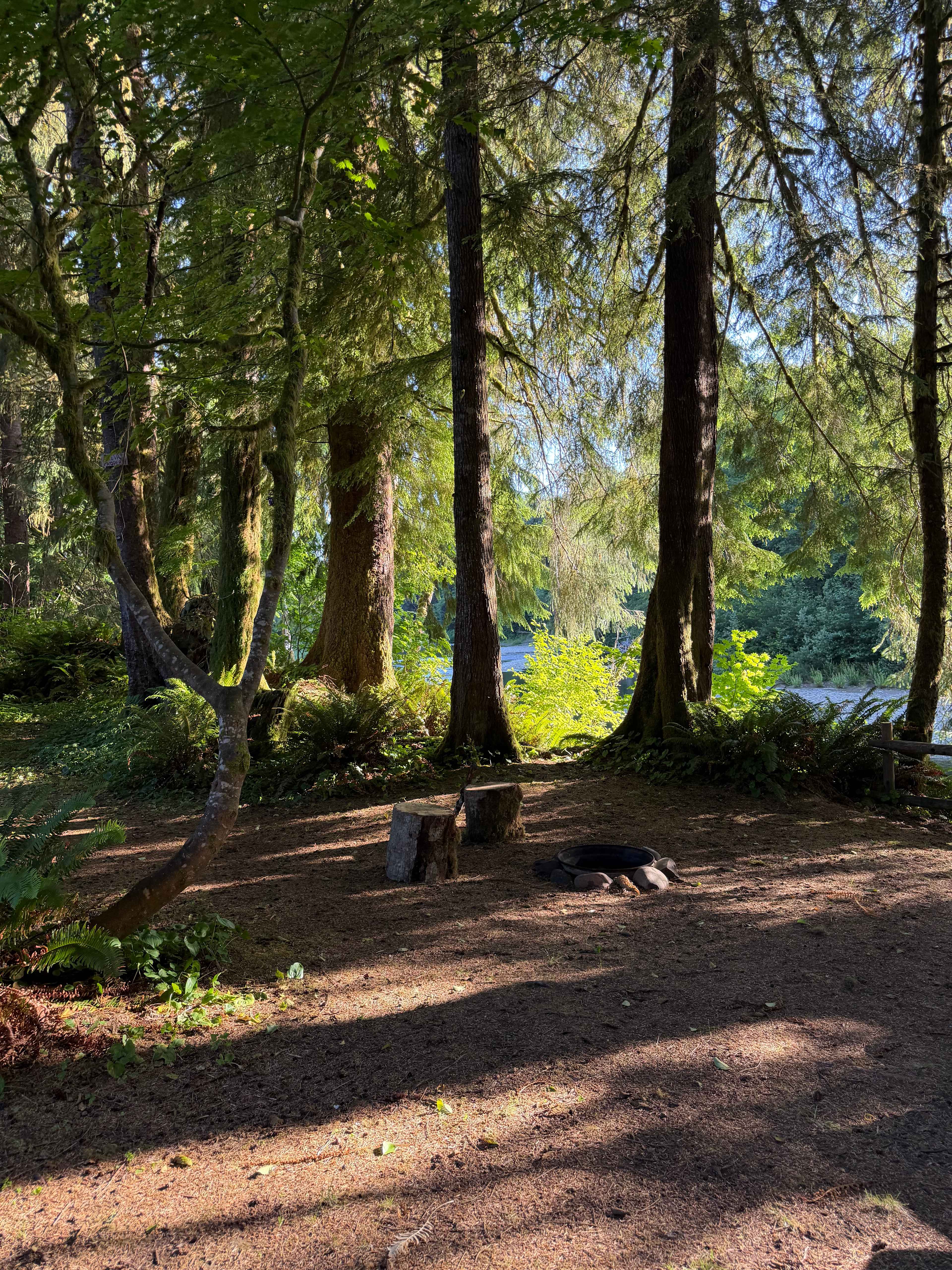 Salmon Run Campground