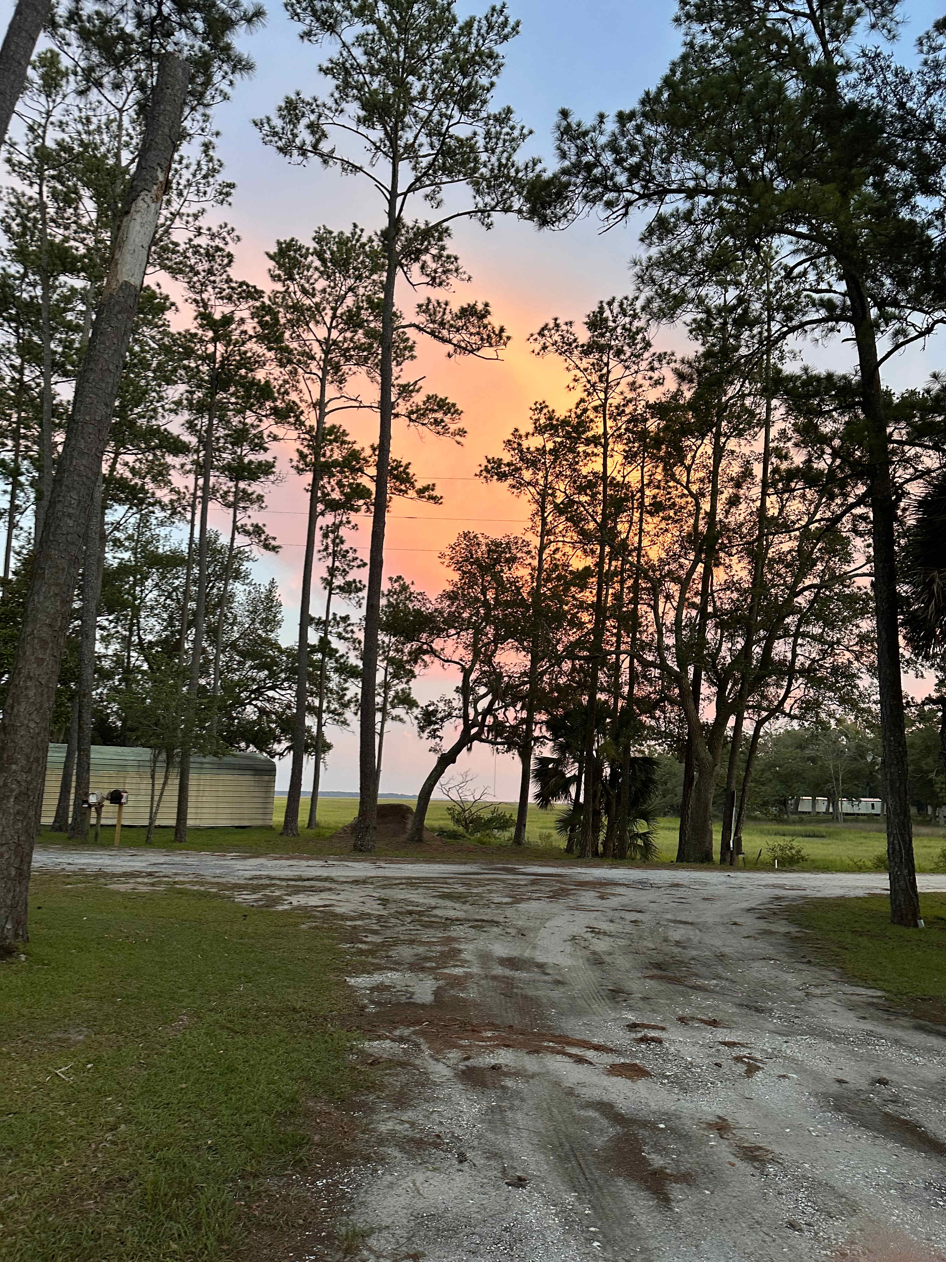 Belle Bluff Island Campground 