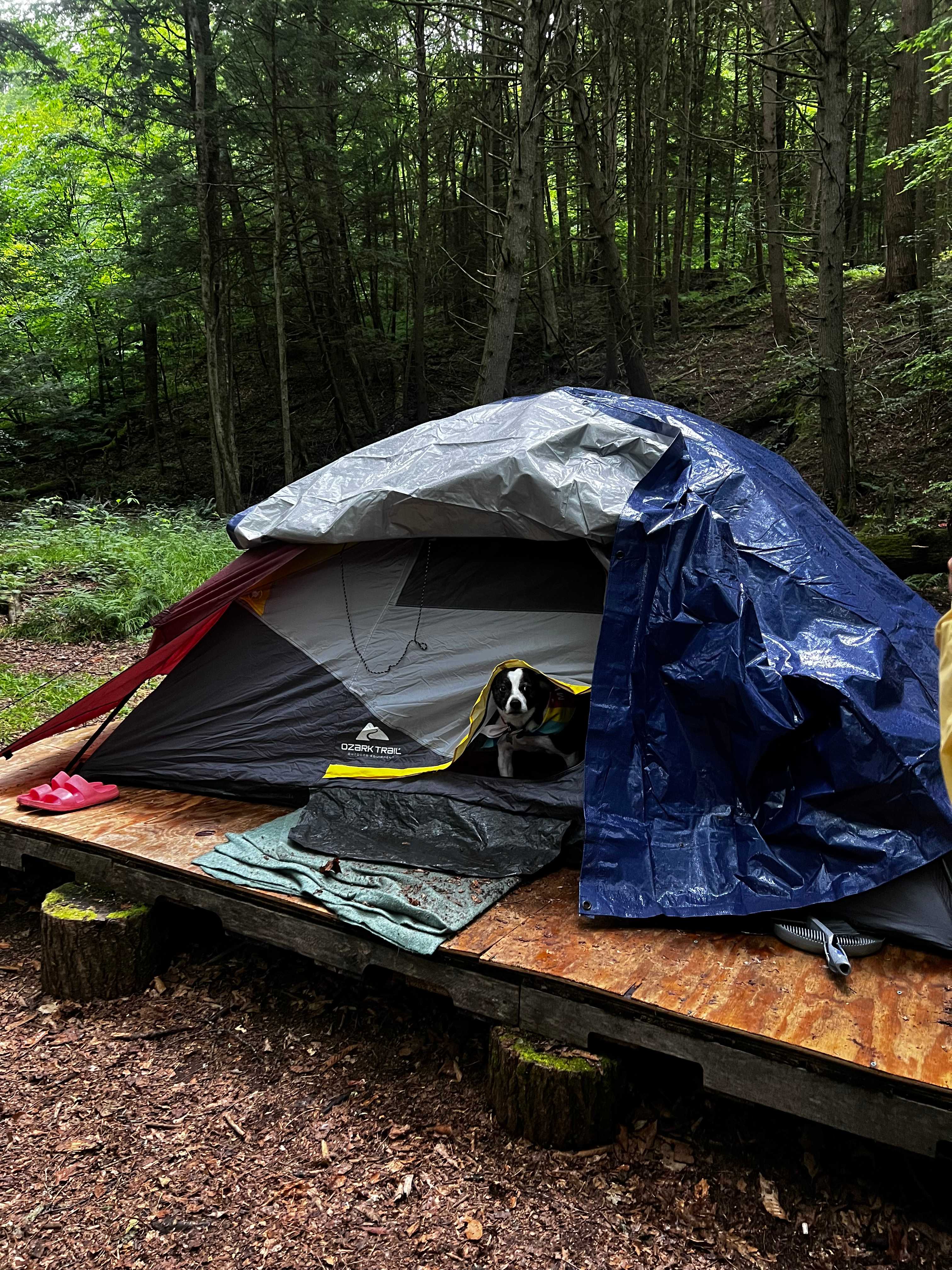 Hemlock Hideaway