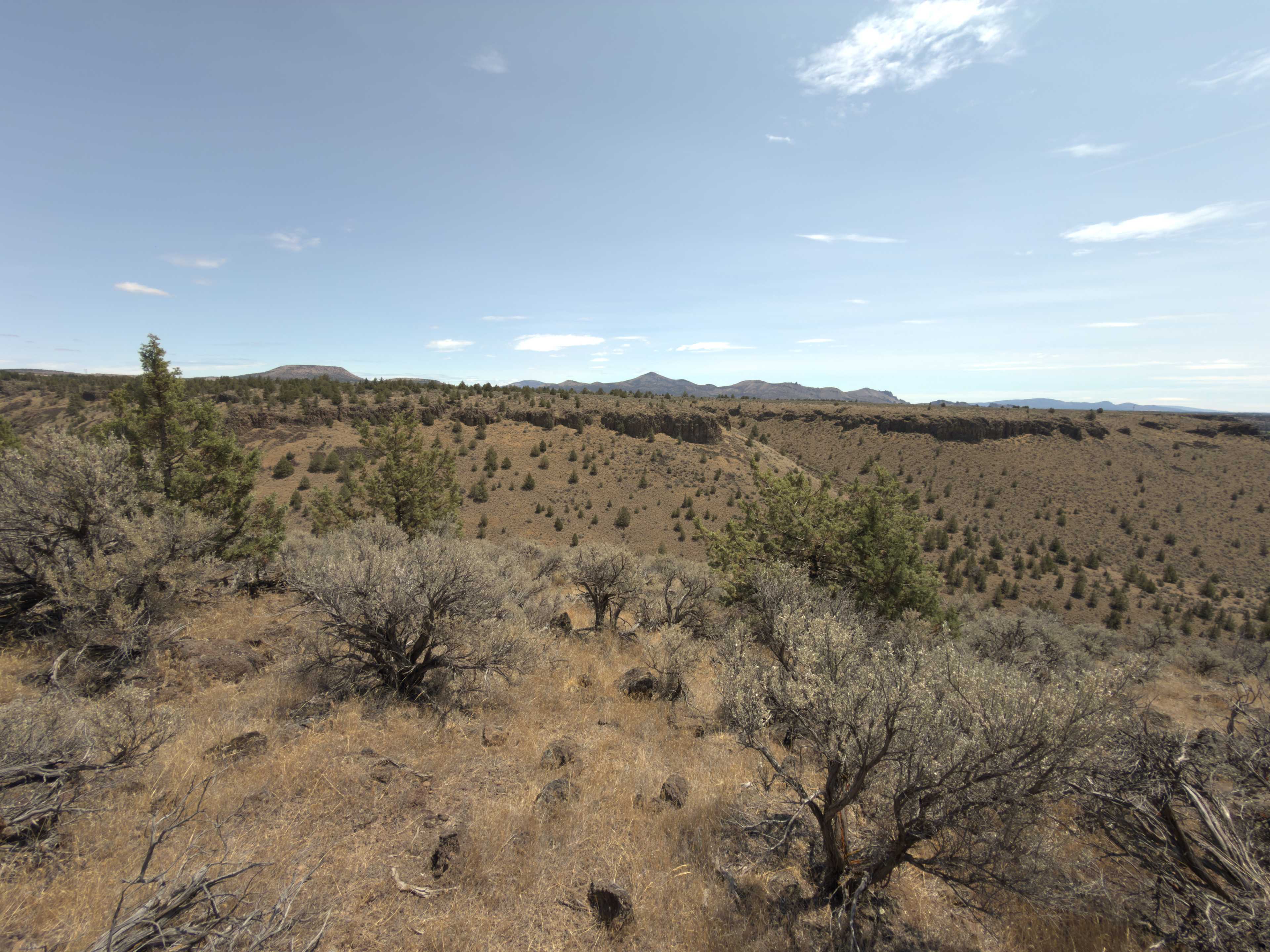 Horse Ranch on the Rim