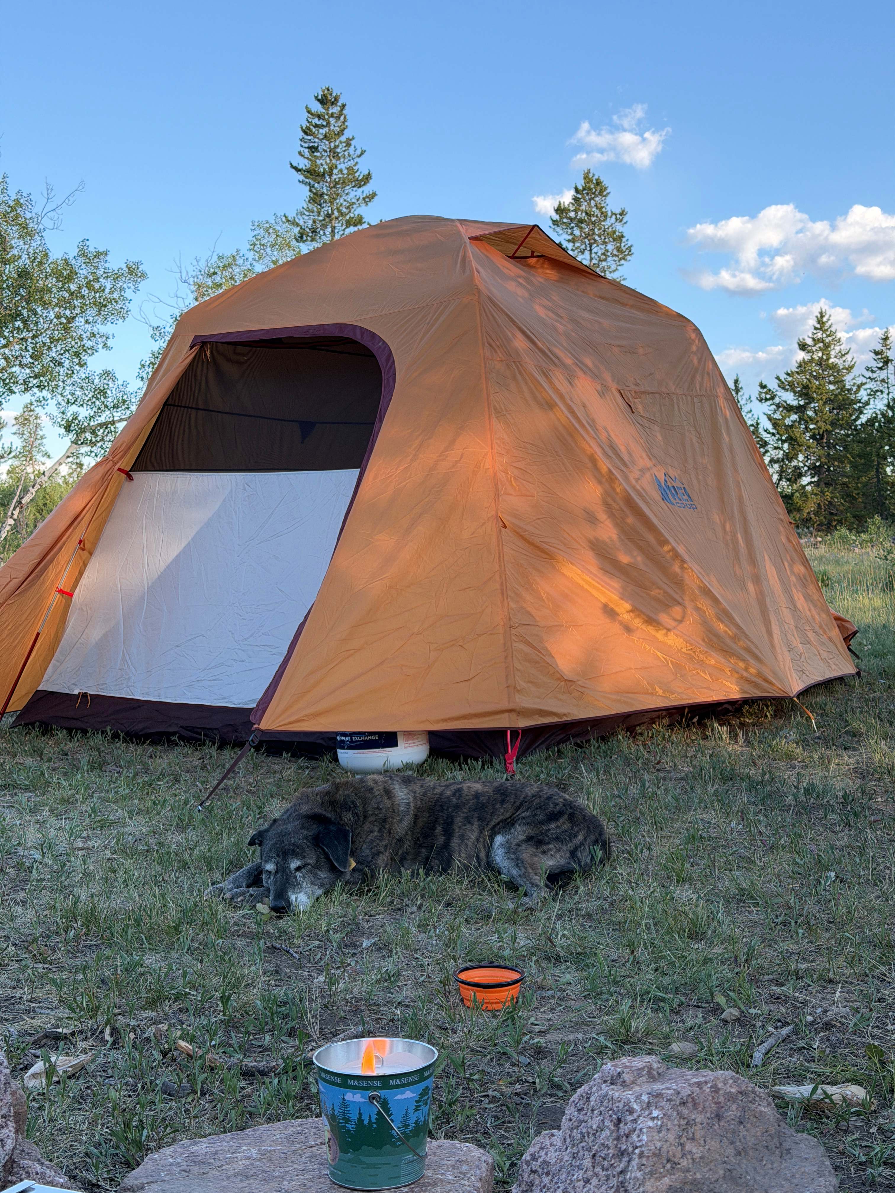 Plenty of room between campsites and our dog loved it.