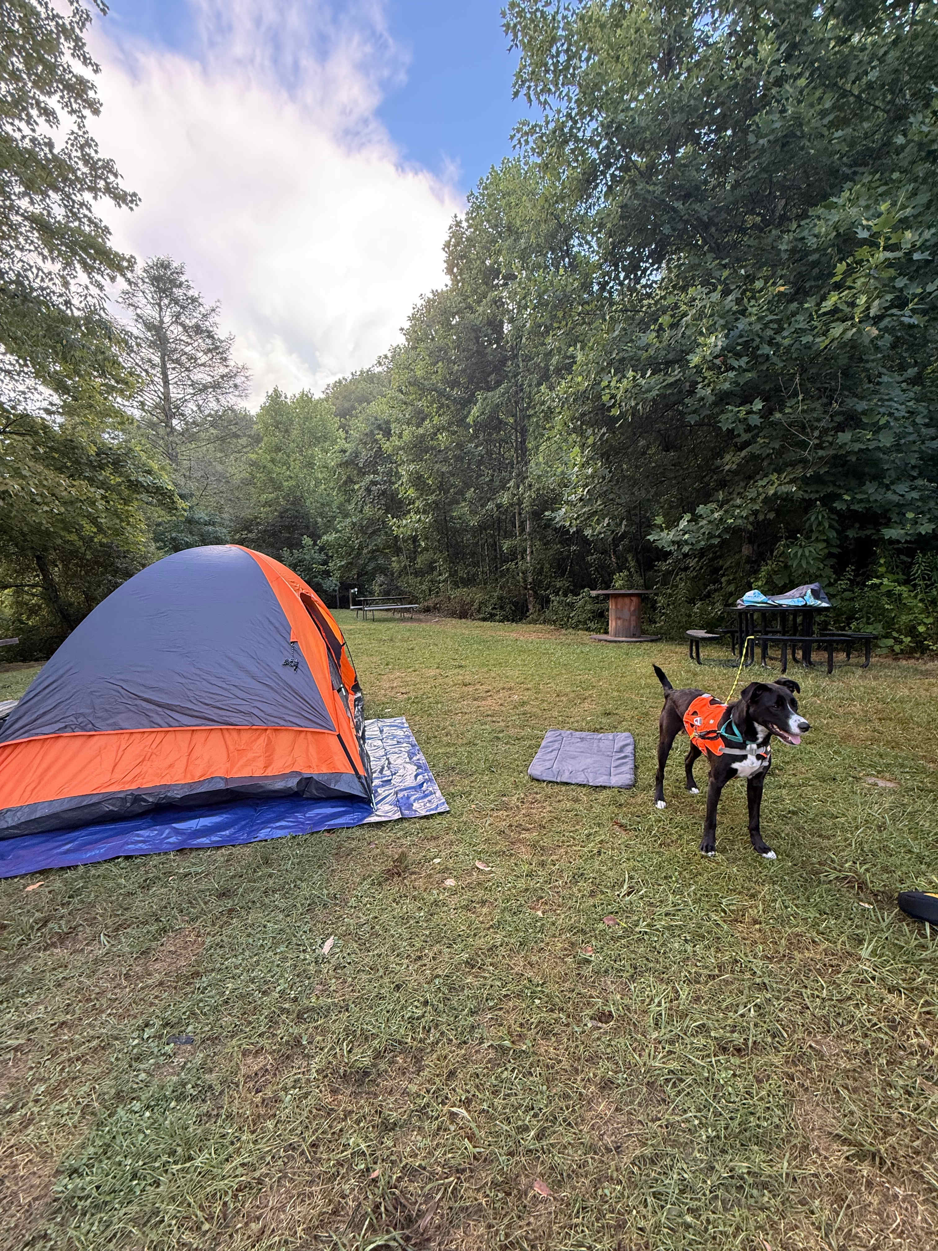 At the Ridge Camp-Riverside Escapes
