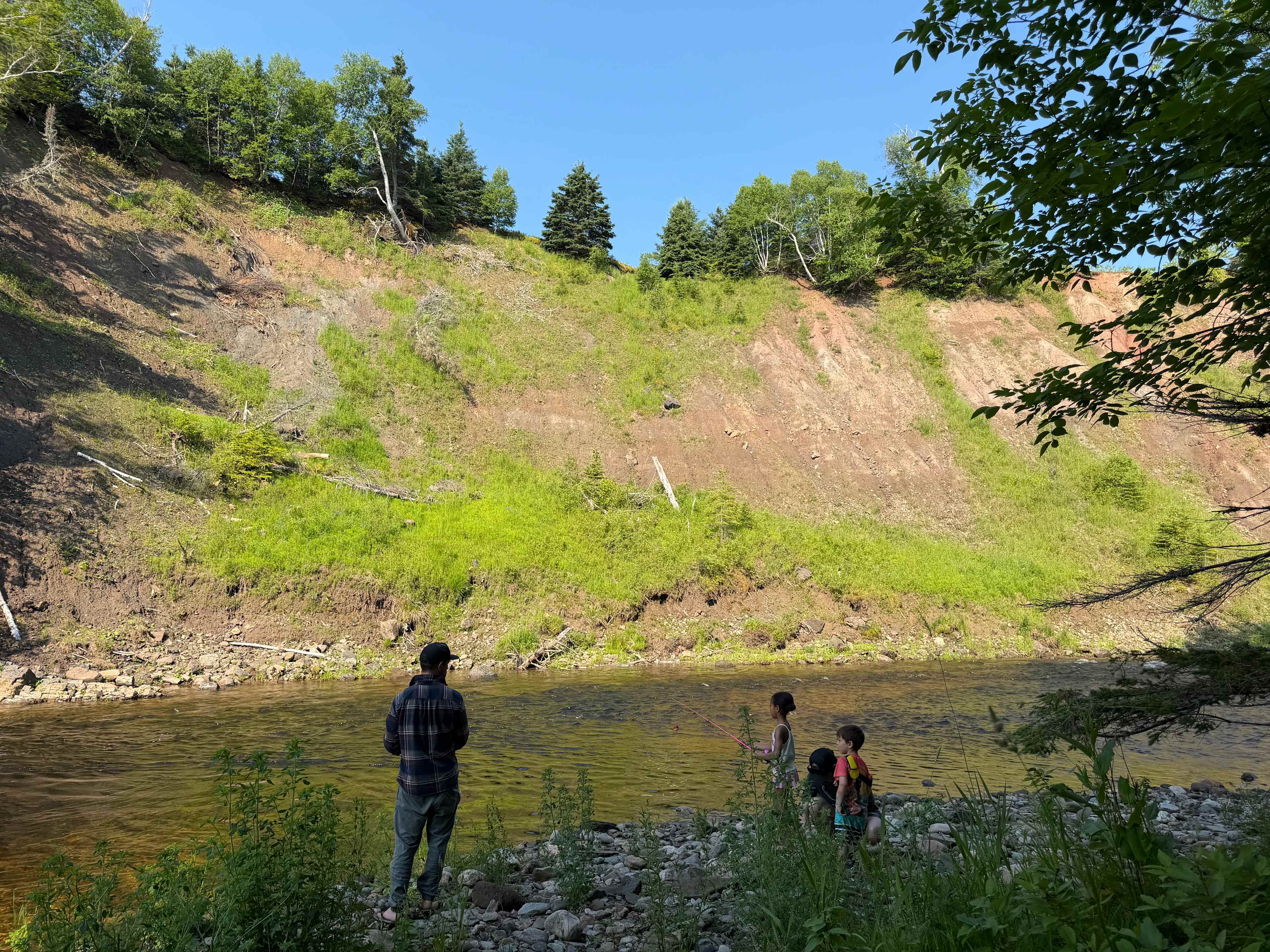 Picture of the site
