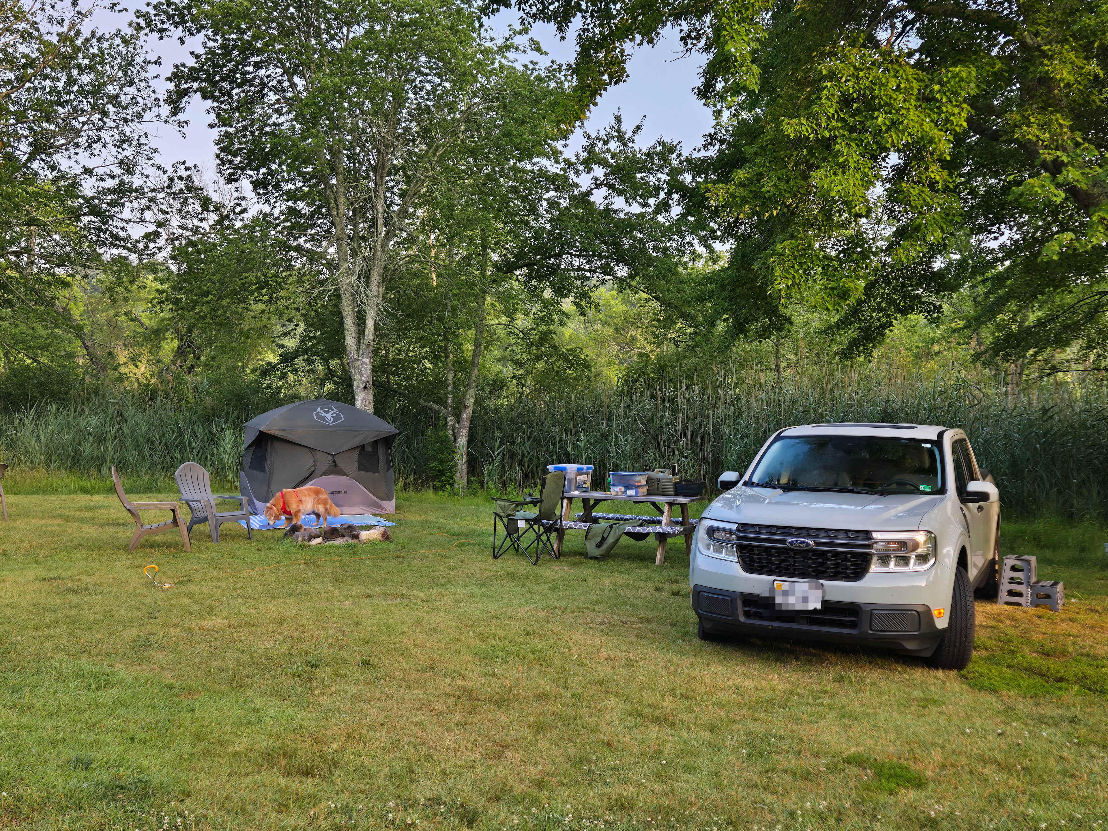 My campsite. I forgot to mention in my review that were also Adirondack chairs near every fire pit. Bring a grate if you're planning to cook over the fire.