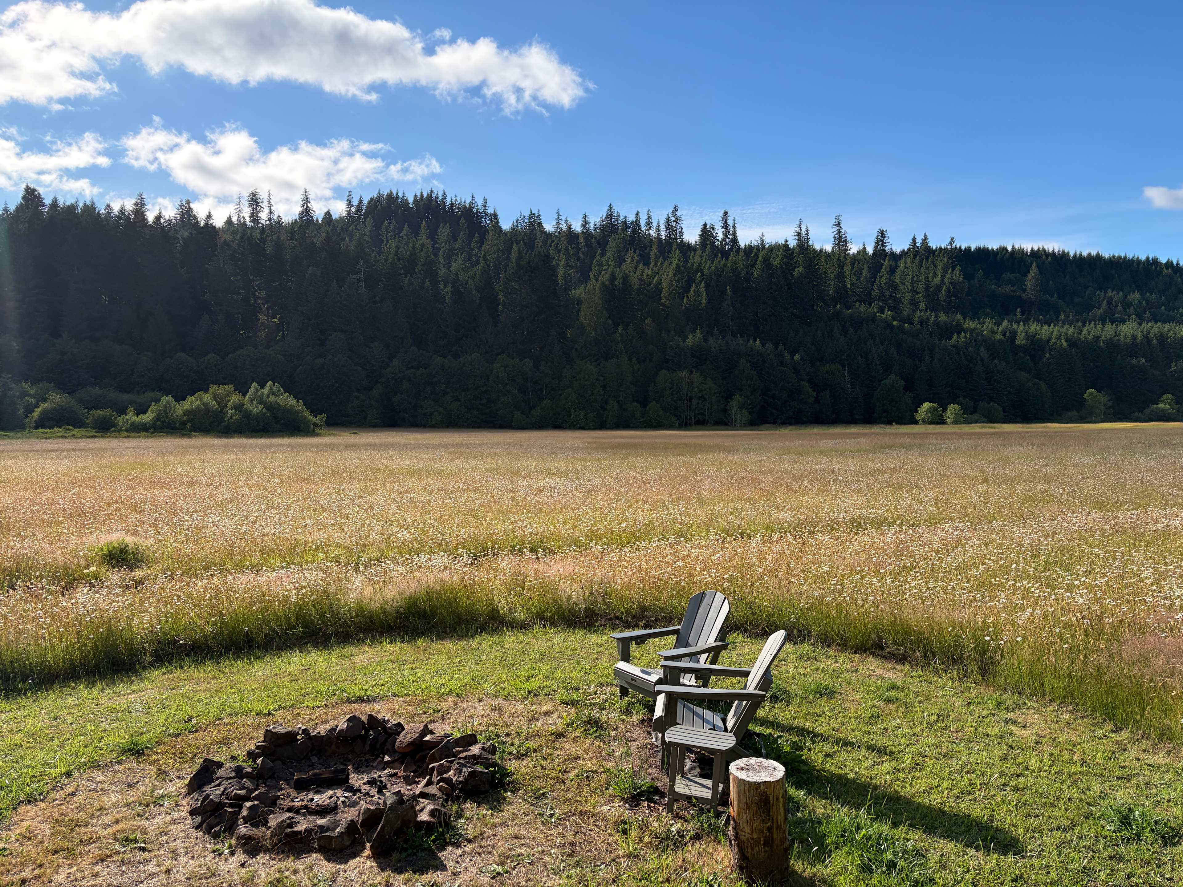 Glamping In The Wild