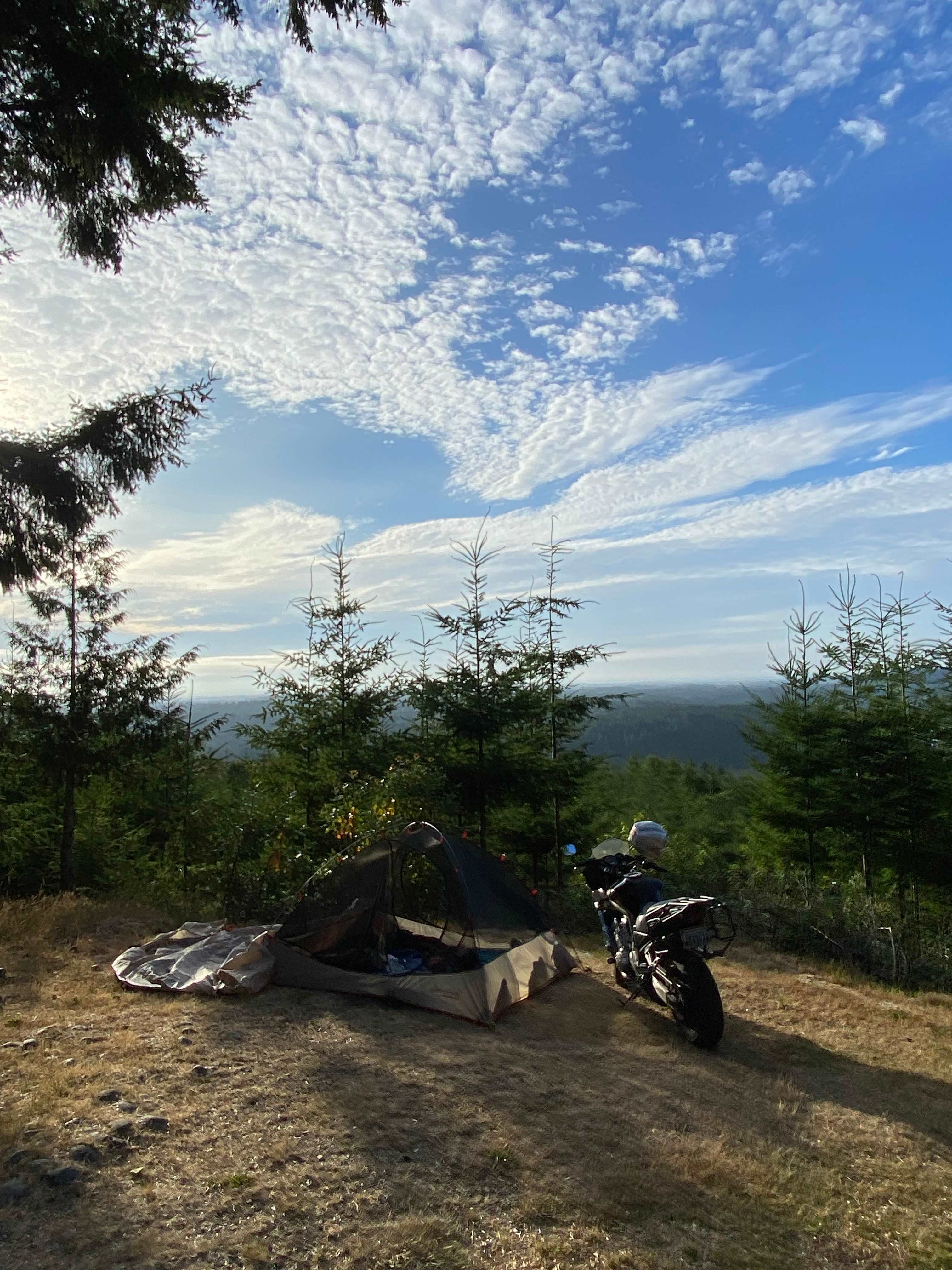 Hairy Eagle Lookout 🦅