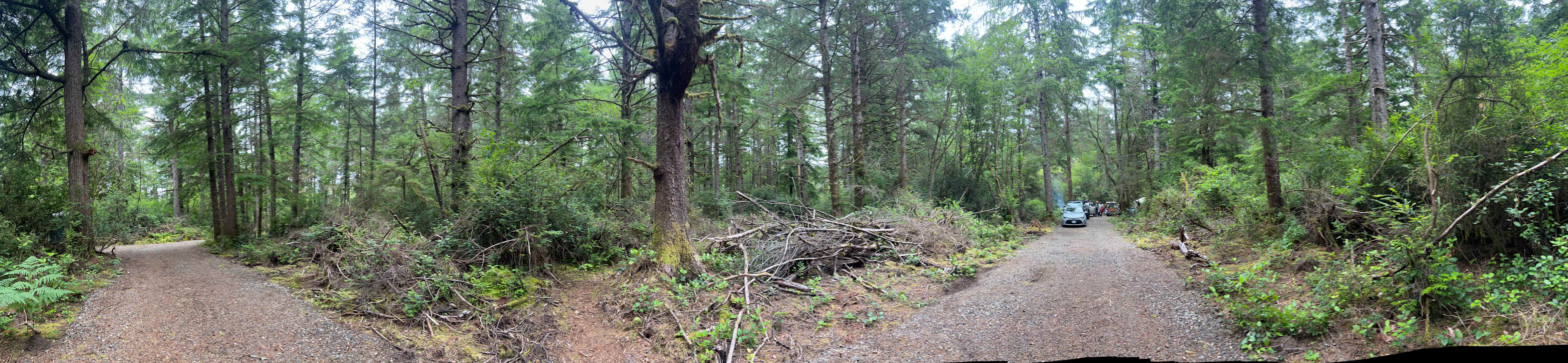 Twisted Tree Camp