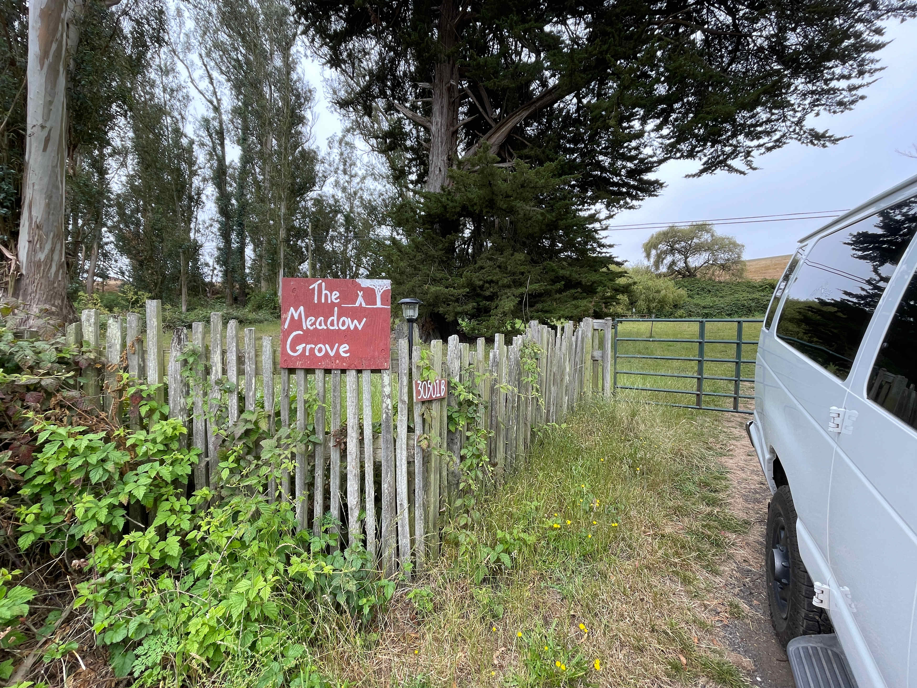 The Meadow Grove of Hands Full Farm