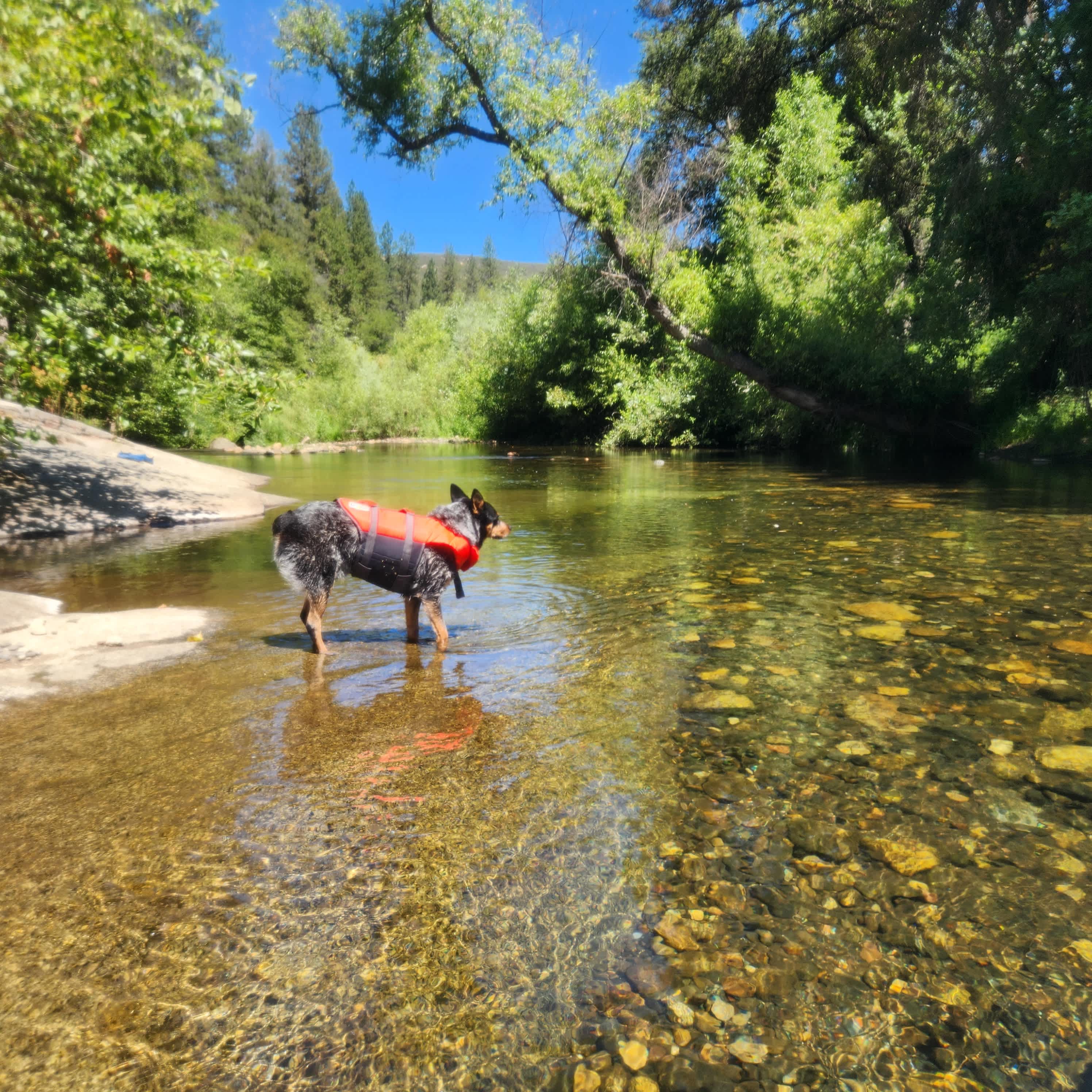 Cosumnes River Somerset Camp