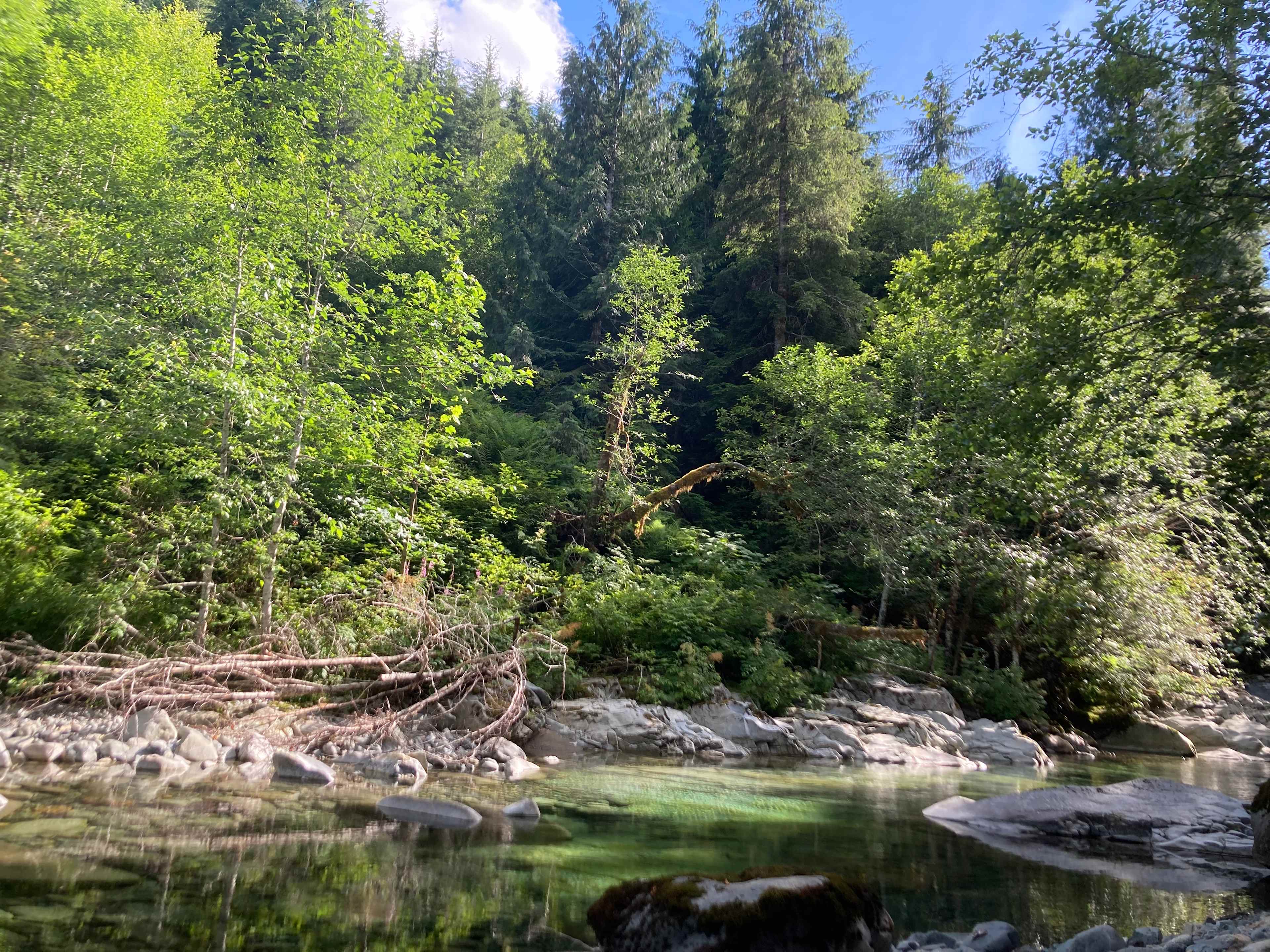 Timber Canyon Ranch @ Money Creek