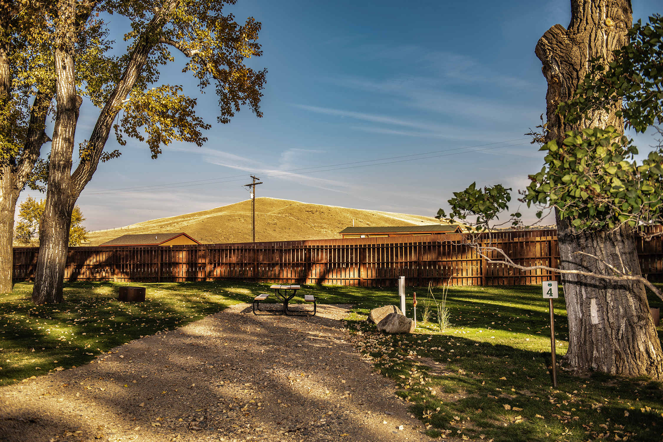 Picture of the site