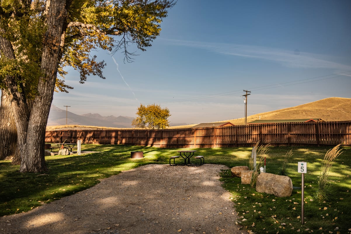 Picture of the site