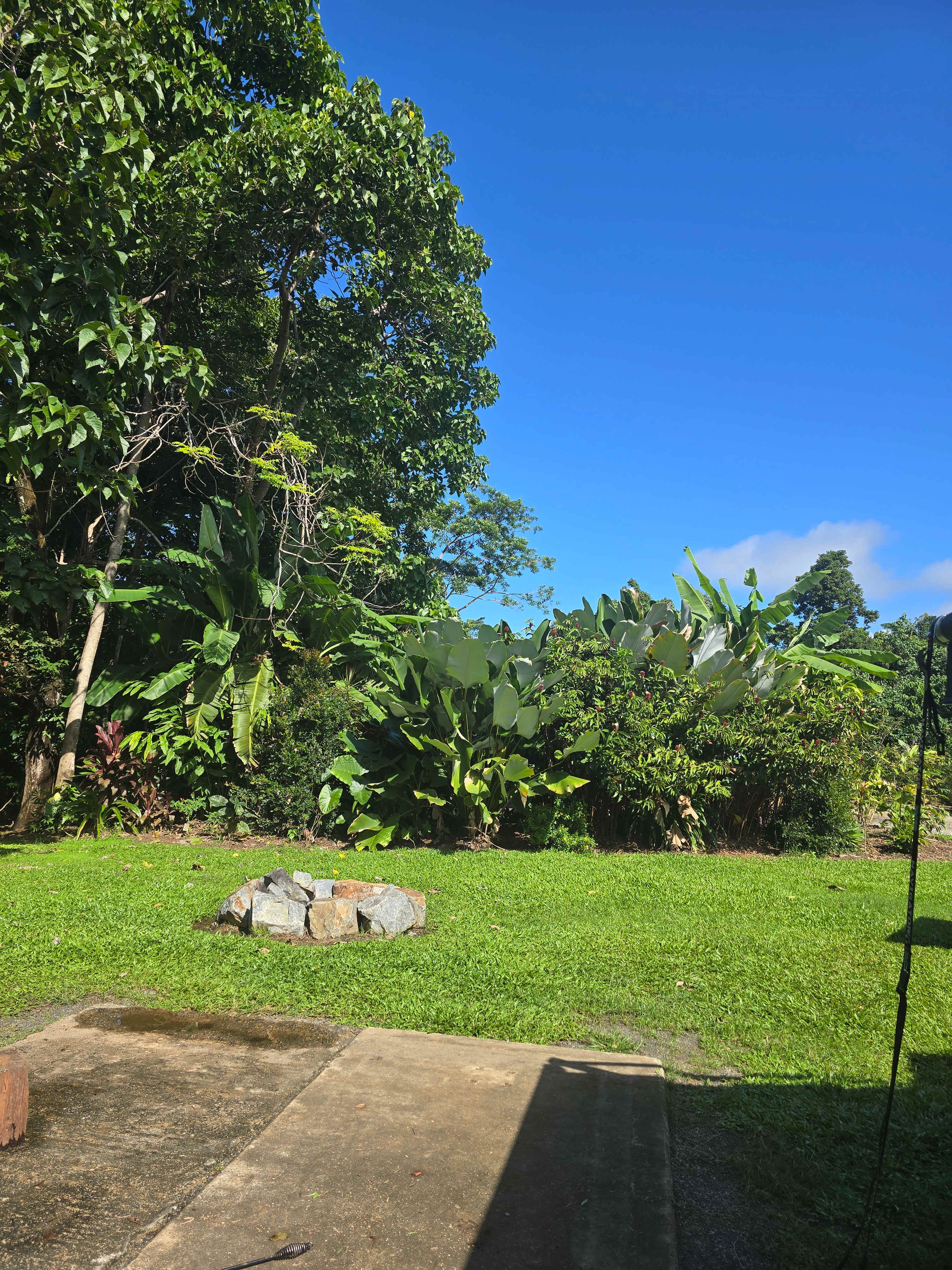 Our back yard on site 2