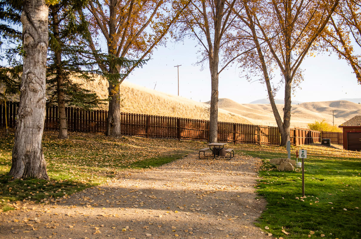 Picture of the site
