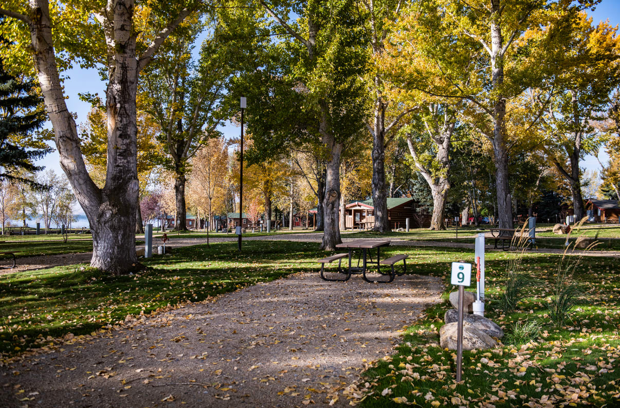 Picture of the site