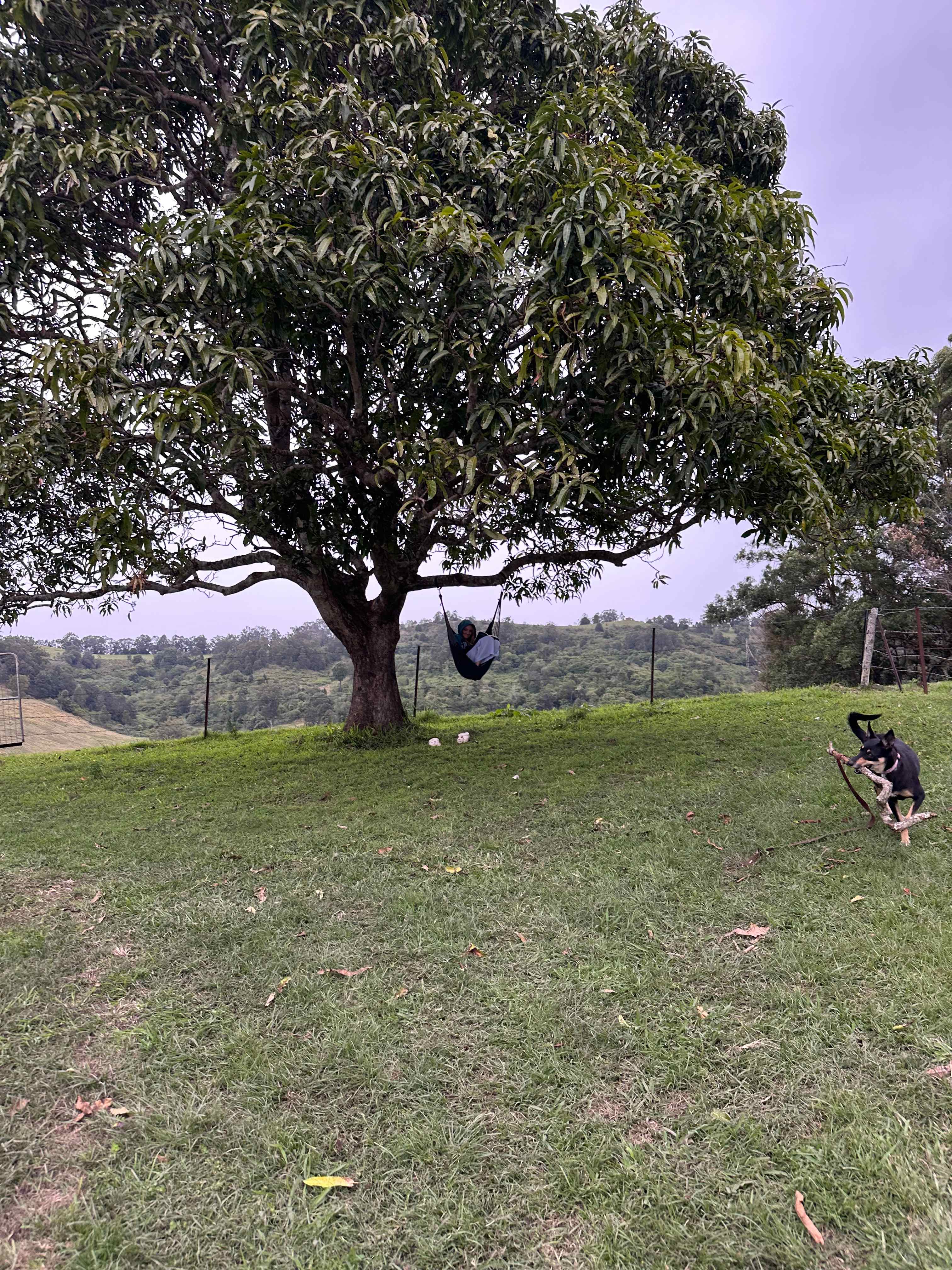 Oakey Ridge