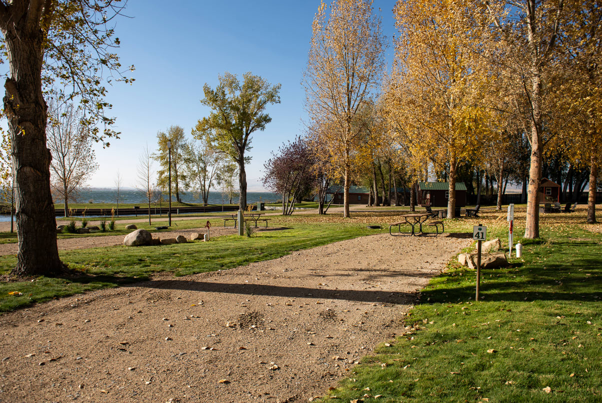 Picture of the site