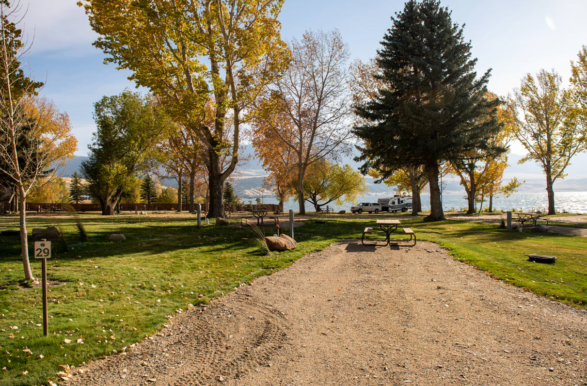 Picture of the site