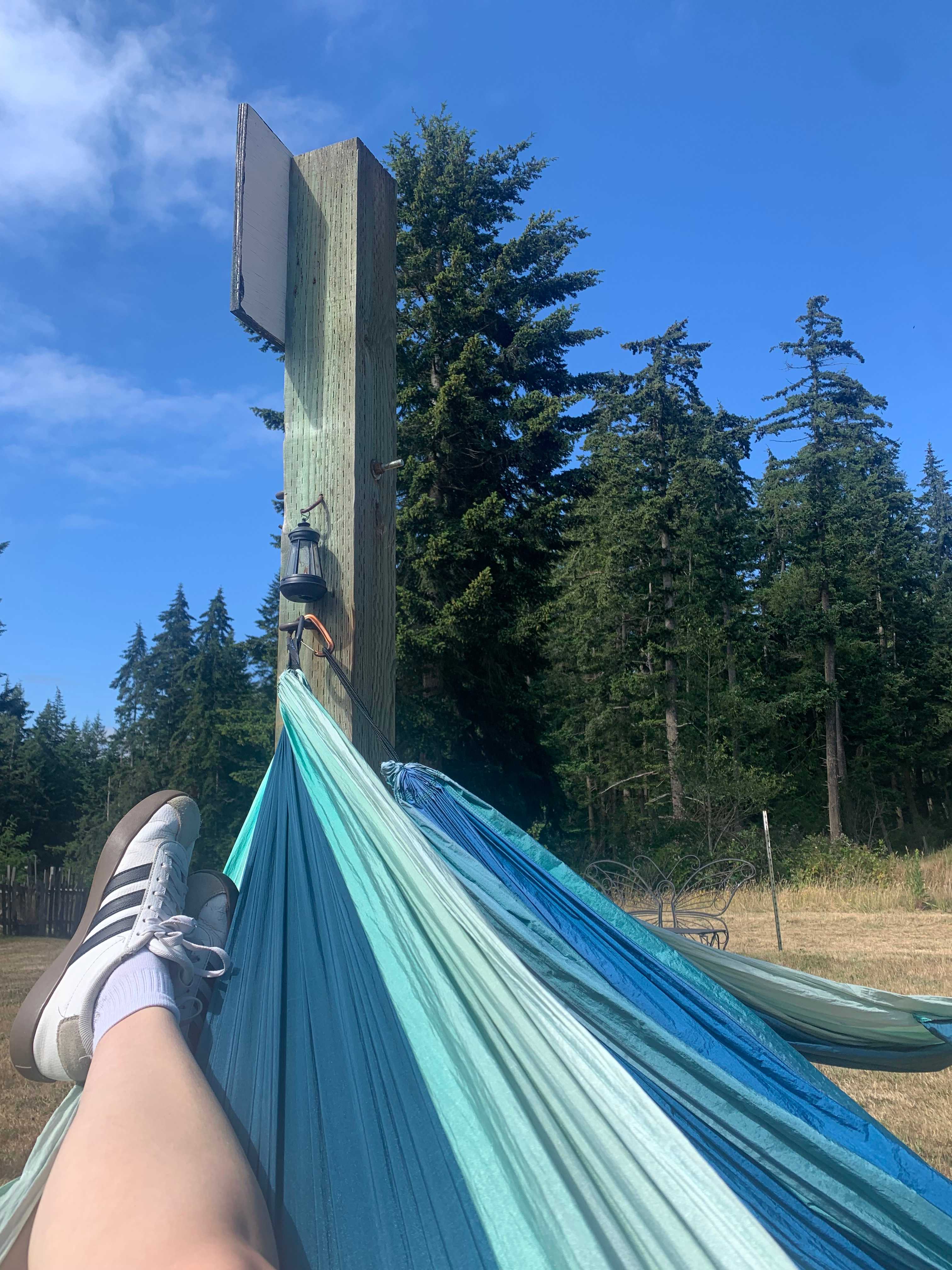 Fern Gully Camp