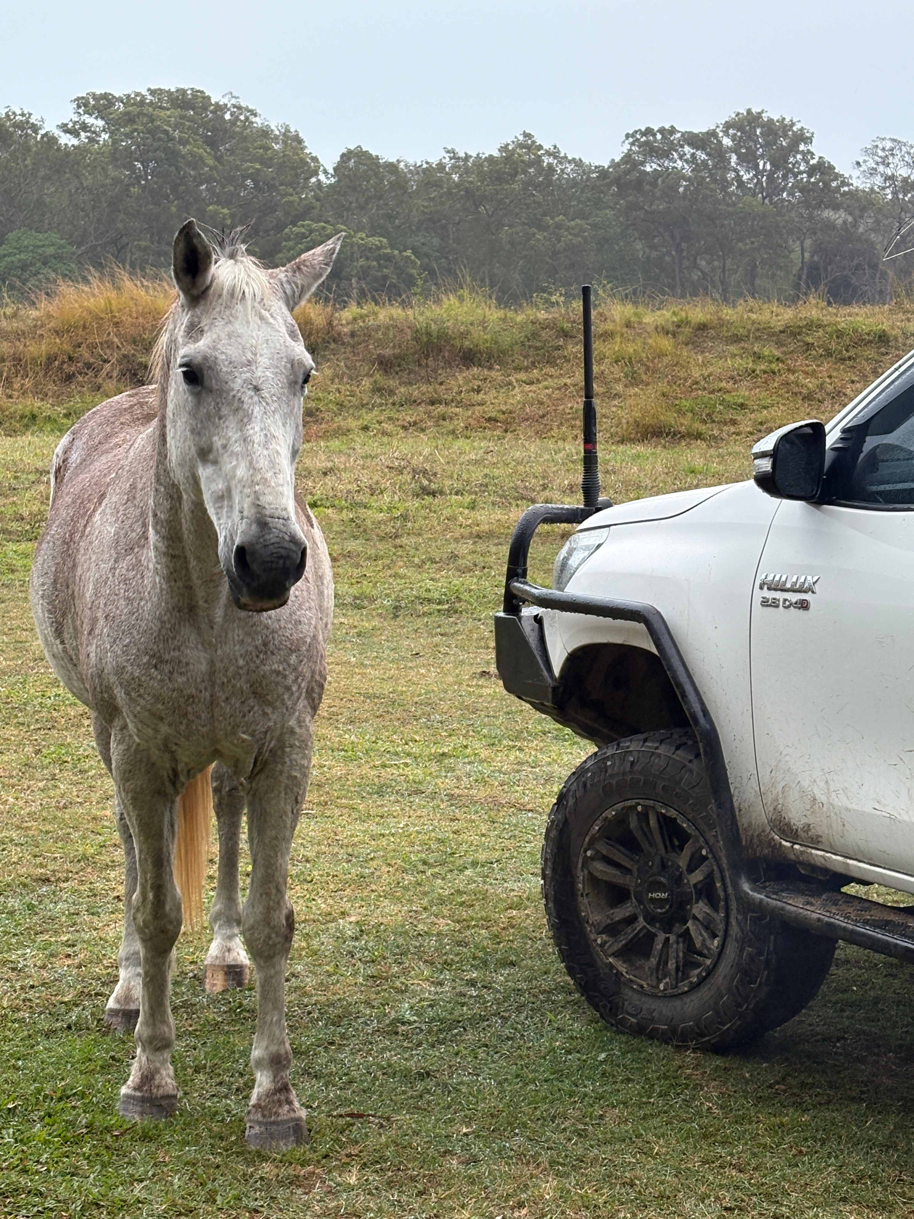 Ilbilbie Station Farm Stay