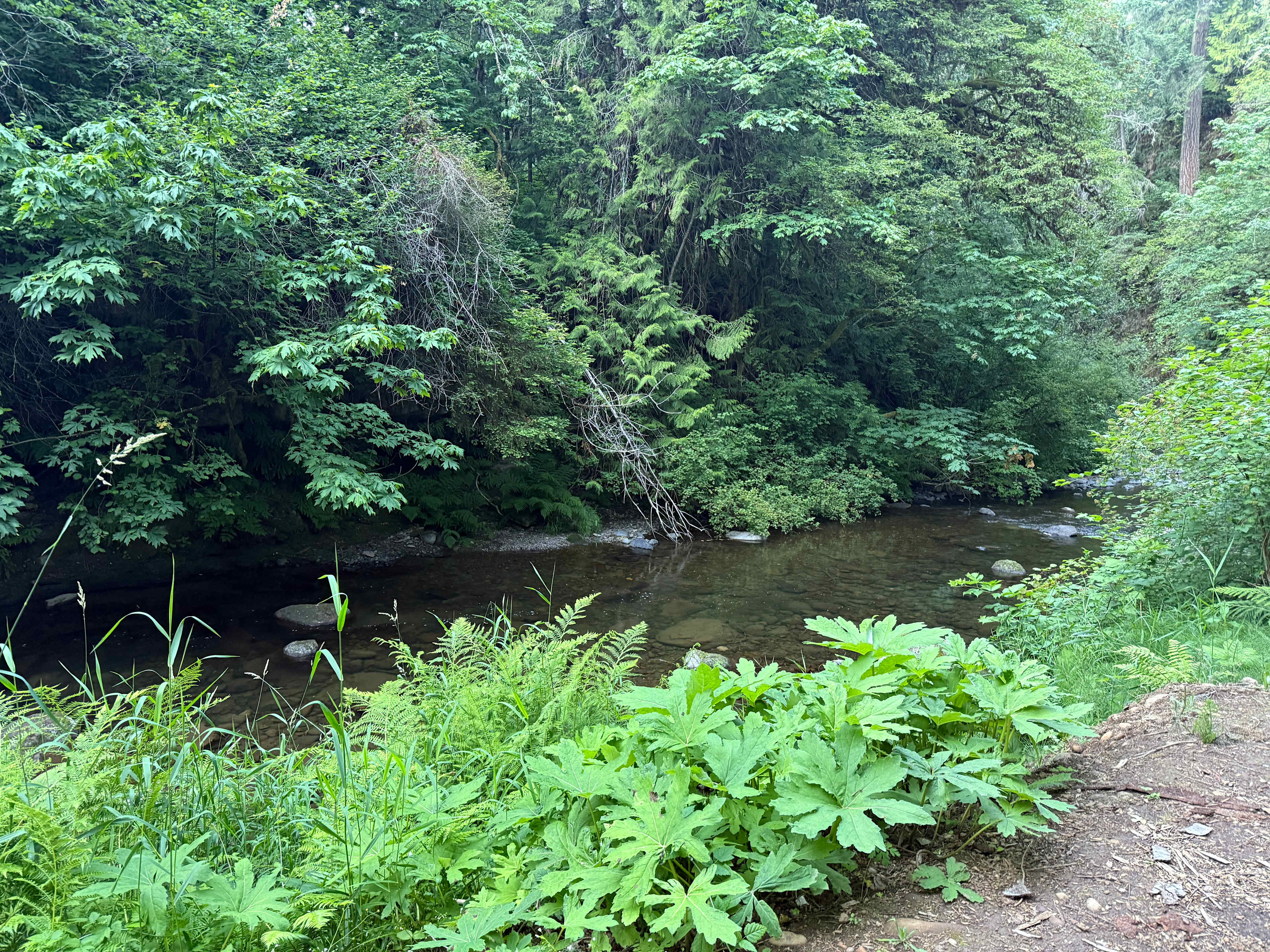 creek