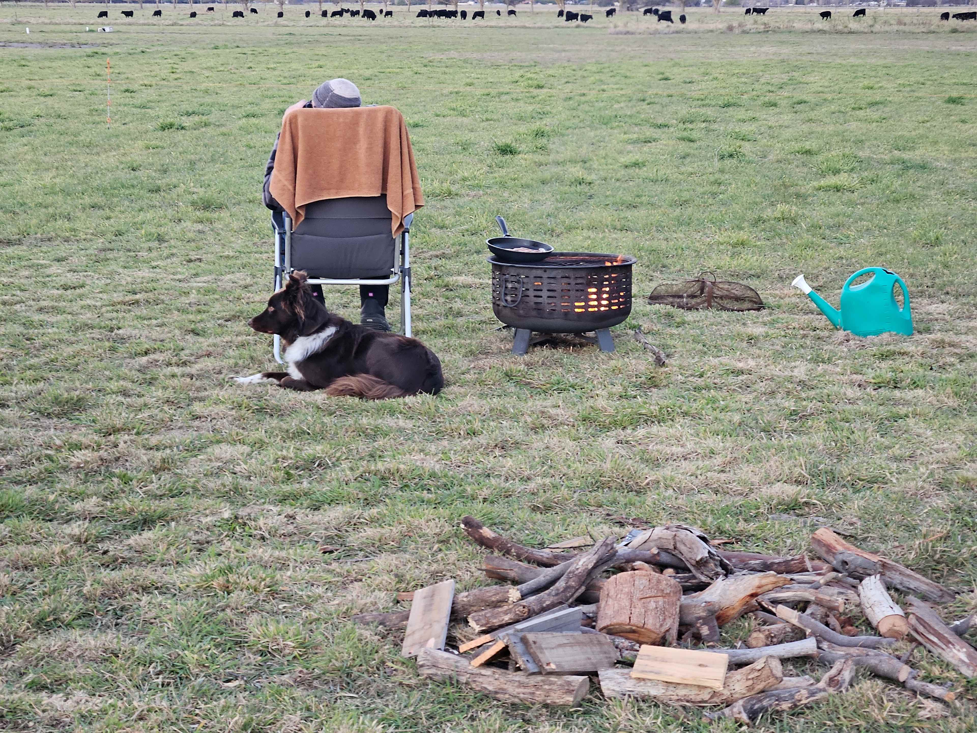 Picture of the site