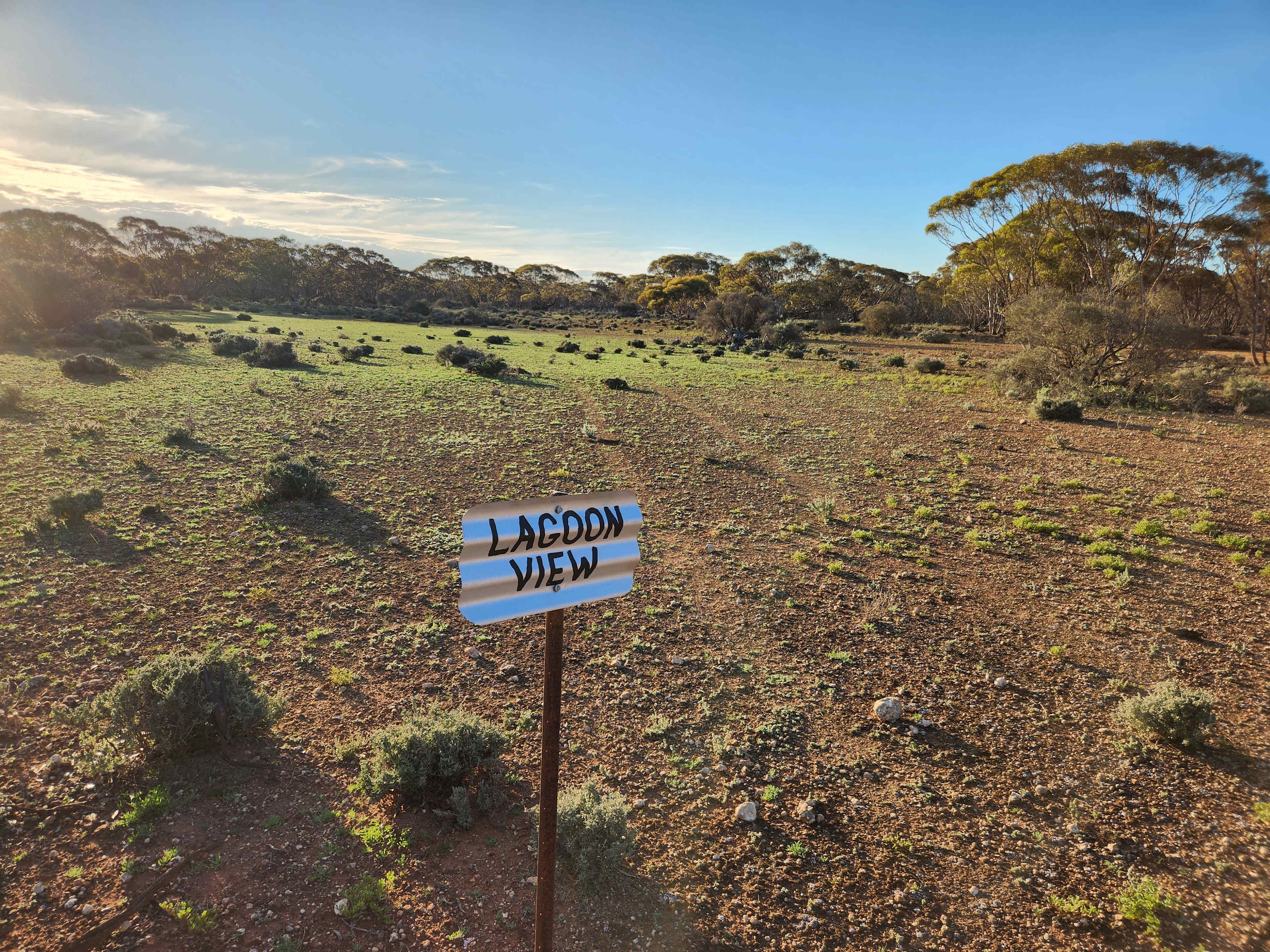 Picture of the site