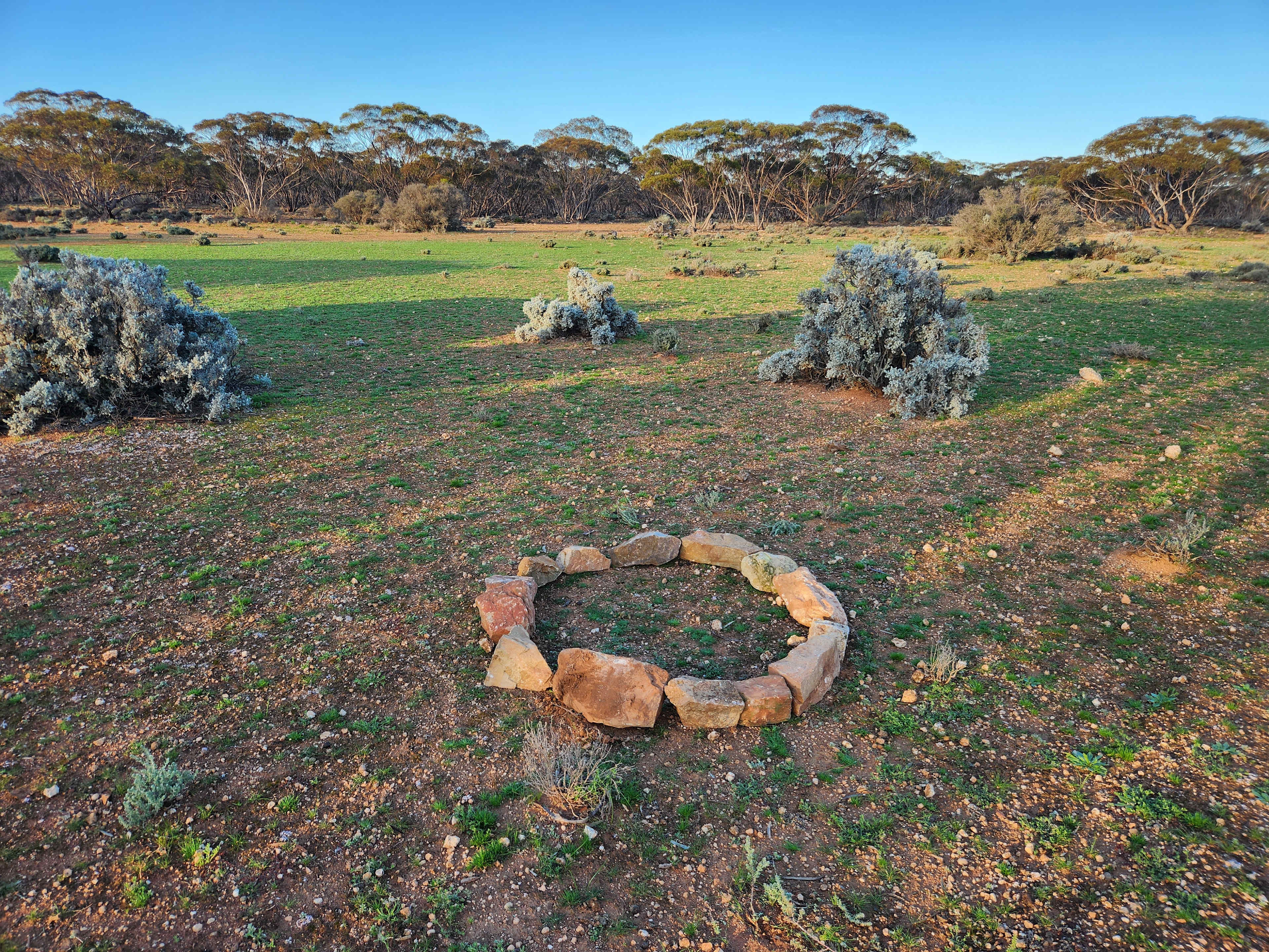 Picture of the site