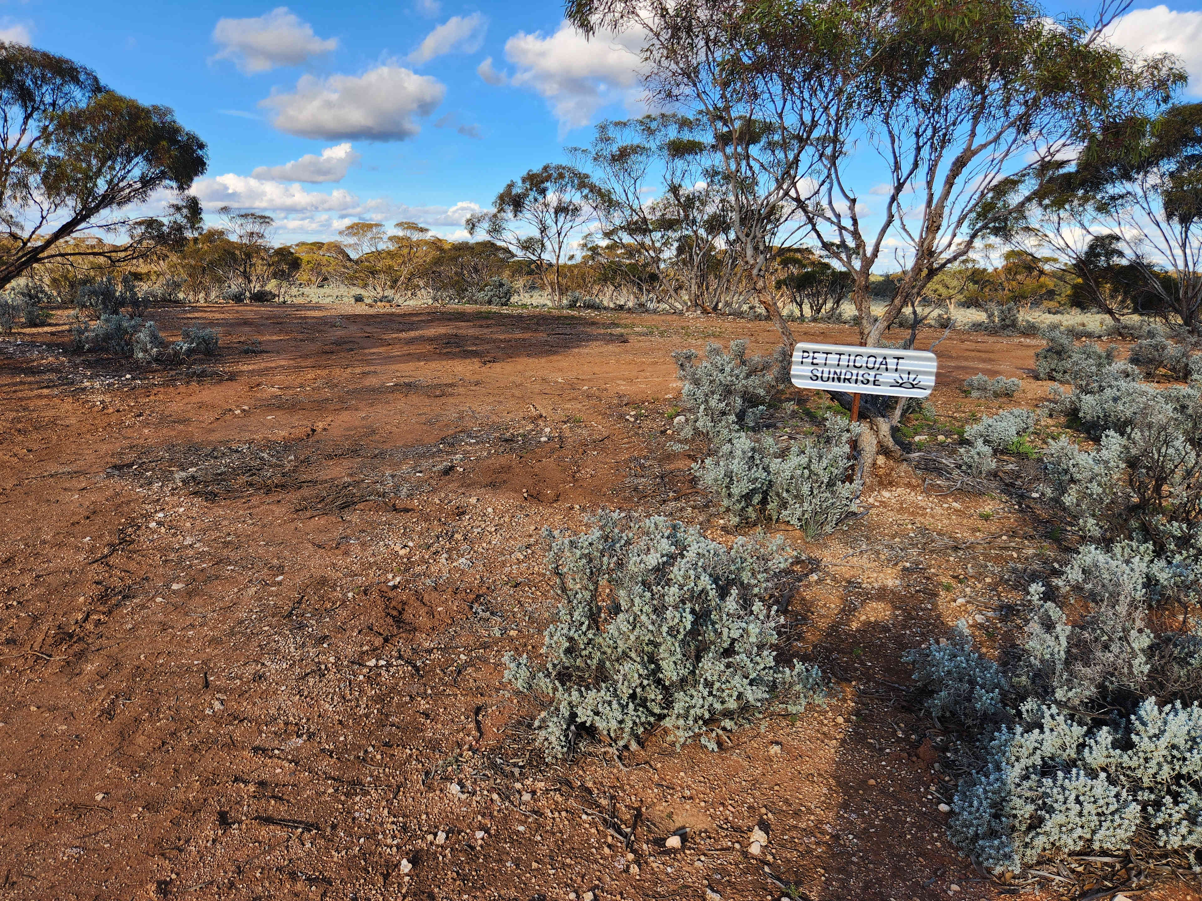 Picture of the site