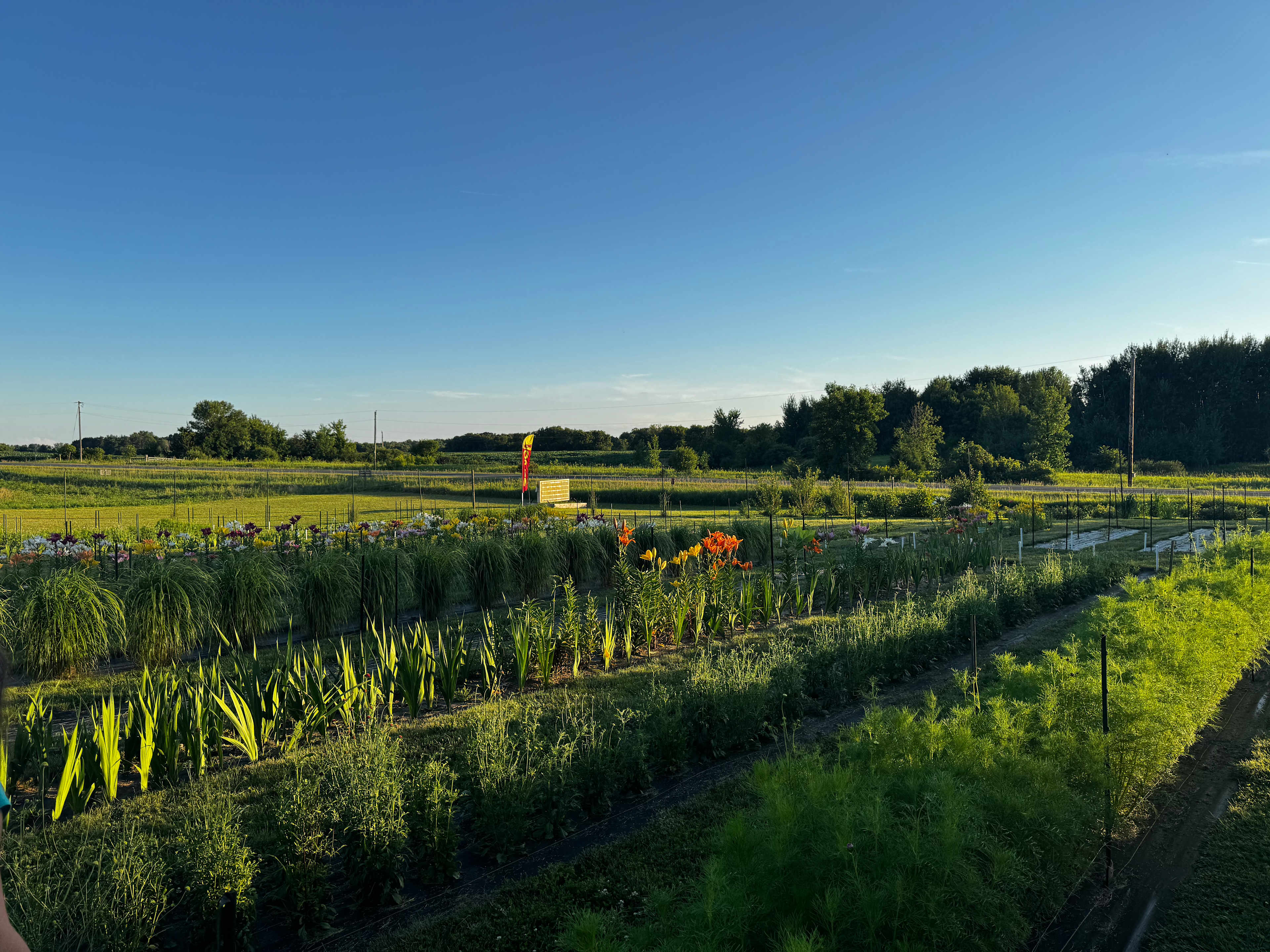 Evergreen Oasis Farm