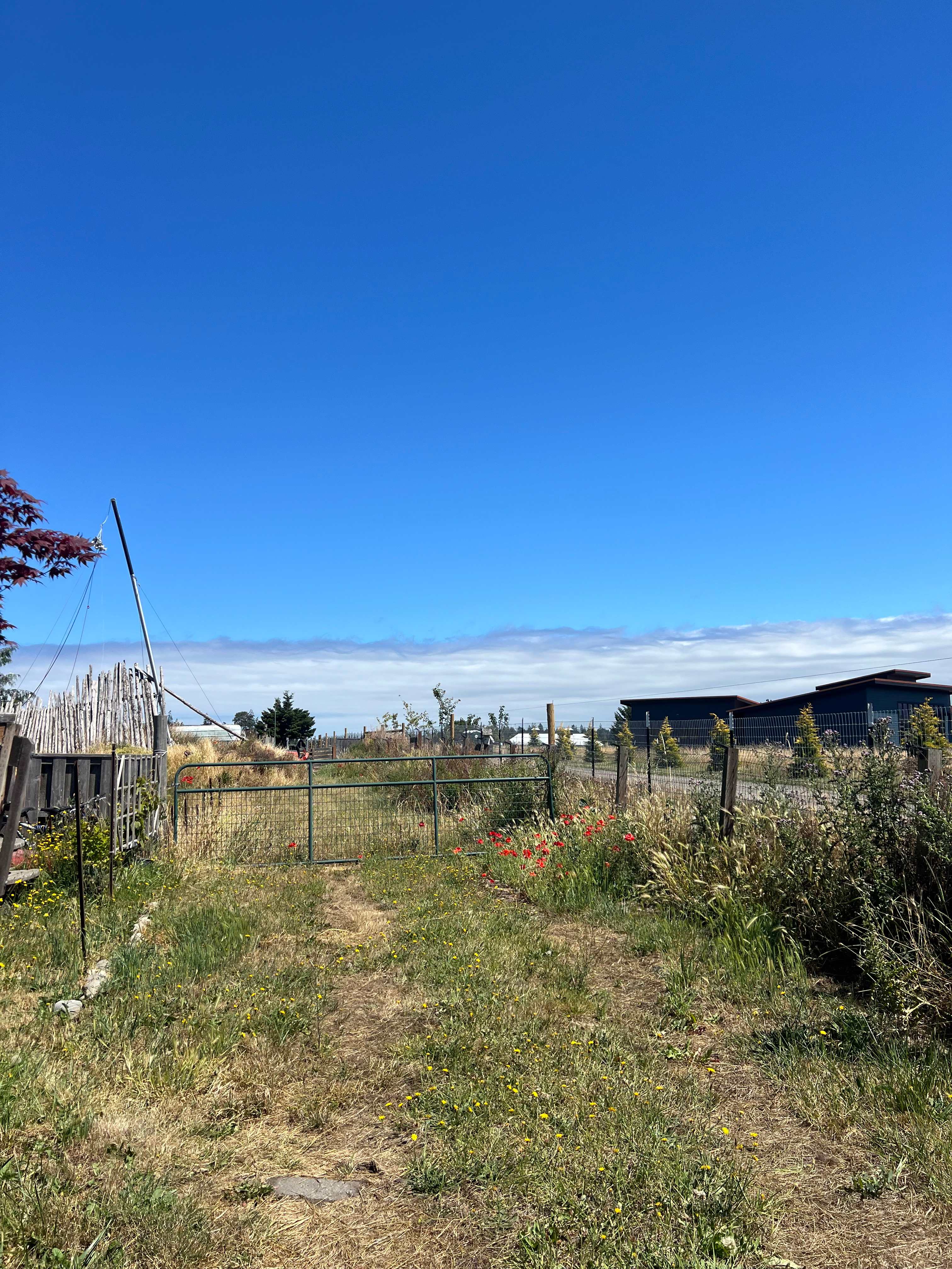 Sequim Prairie Mountain View