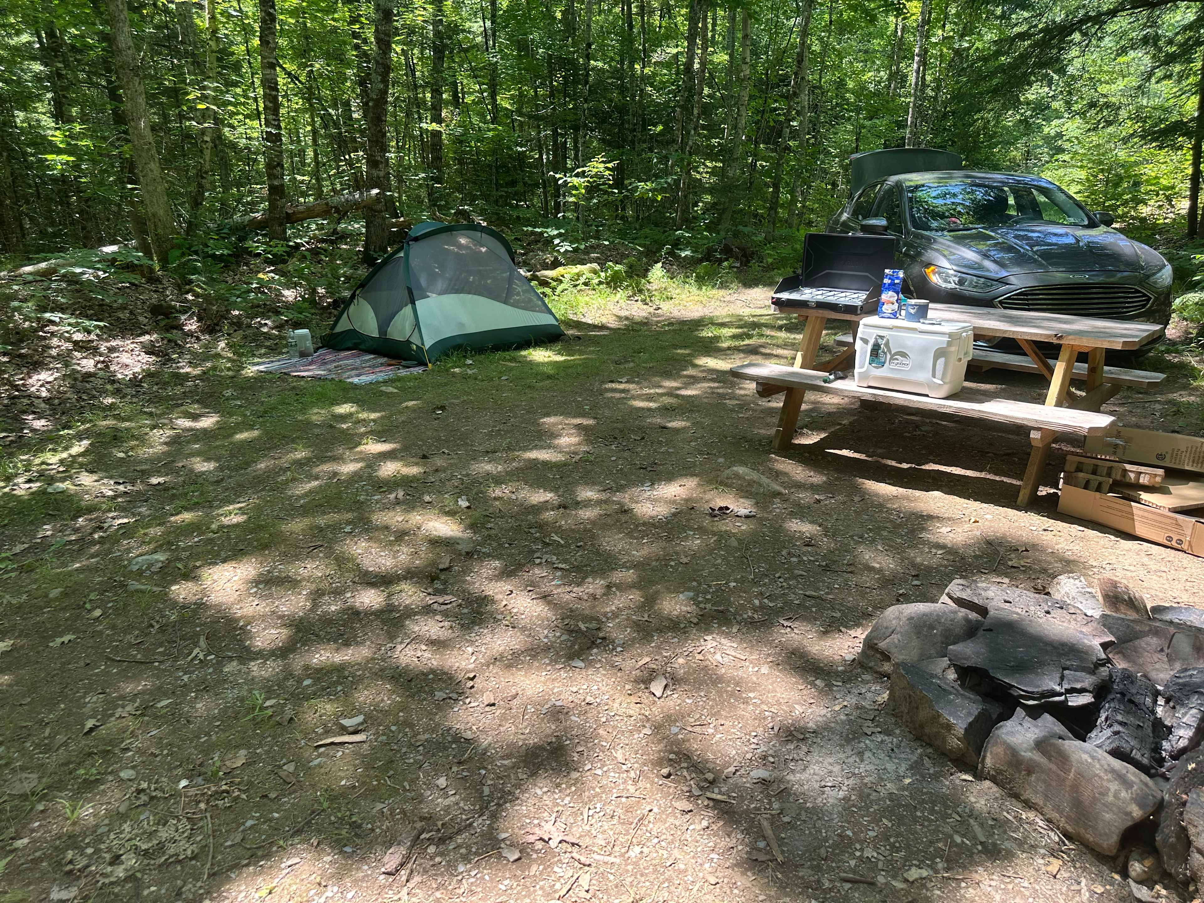 Picture of the site