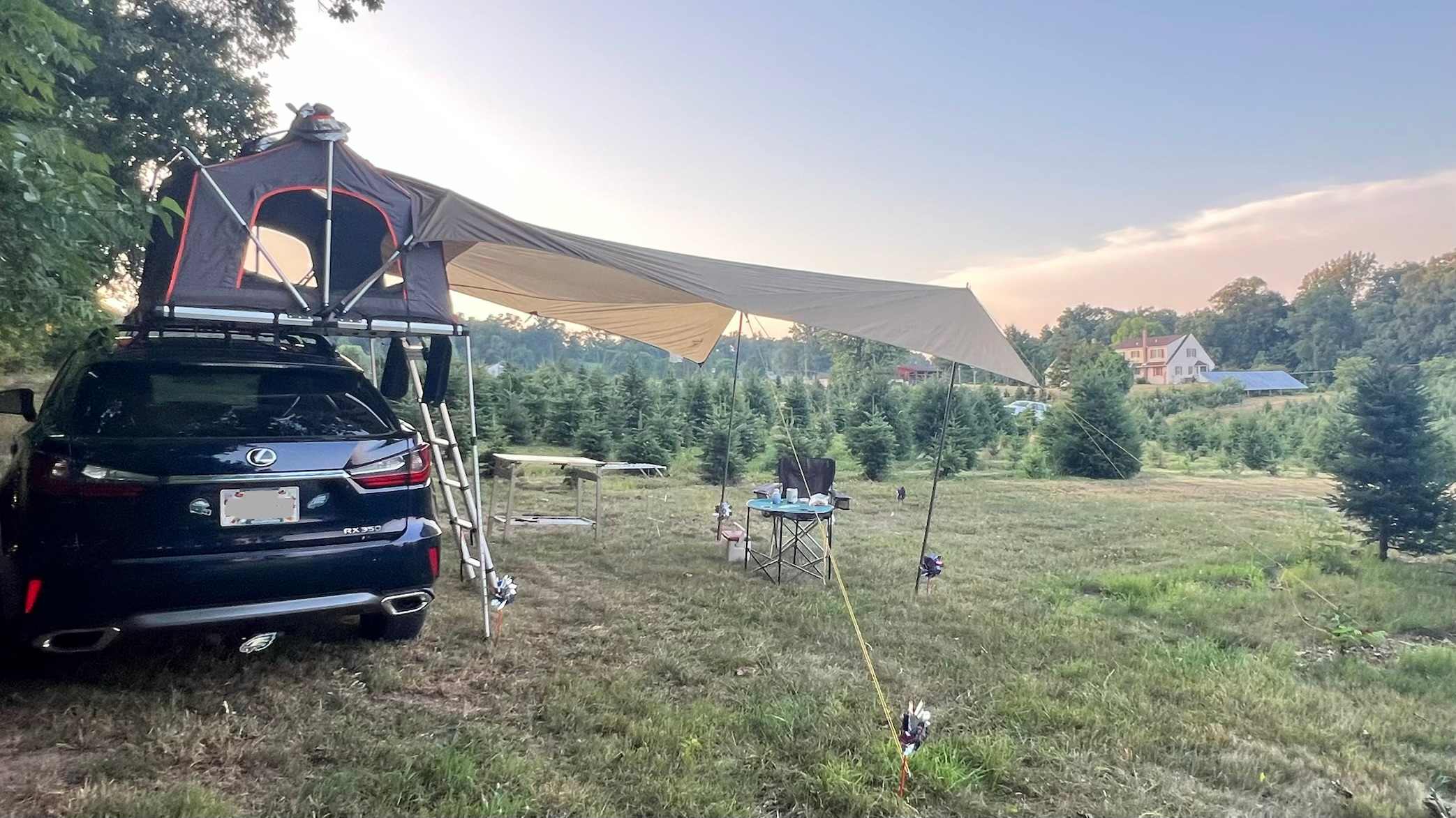 Christmas Tree Farm with Views