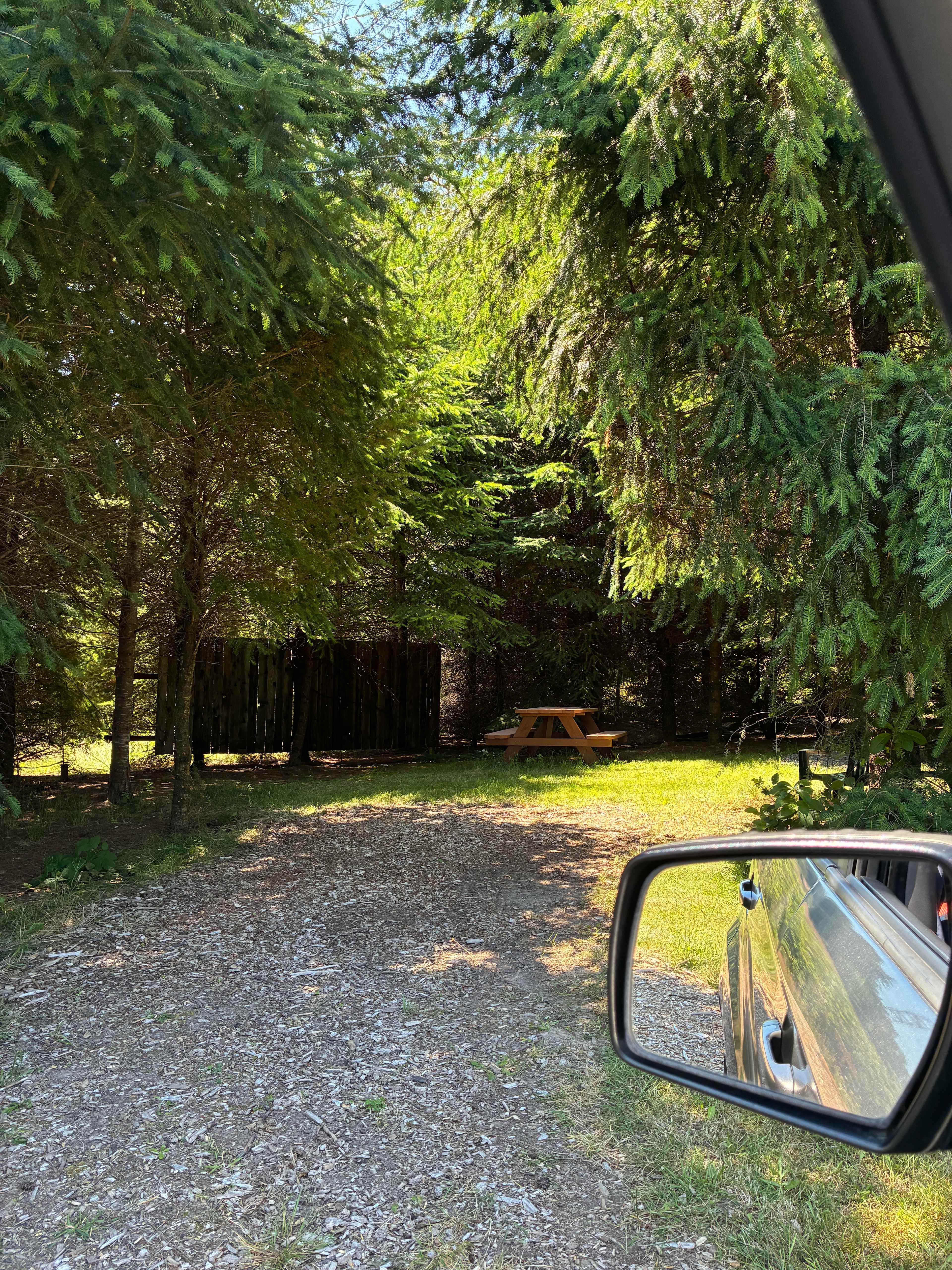 Jo-El Tree Farm
