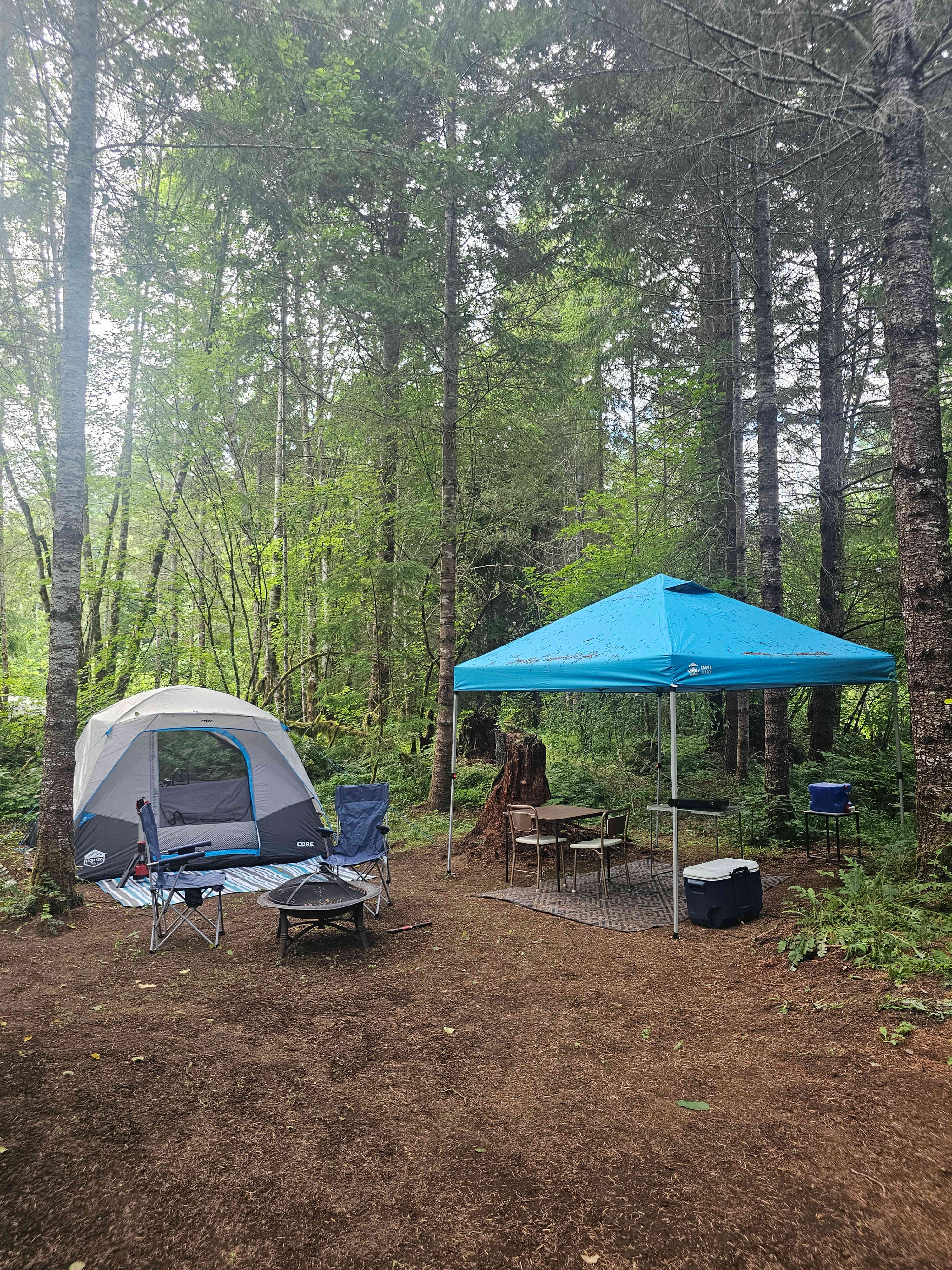 Picture of the site