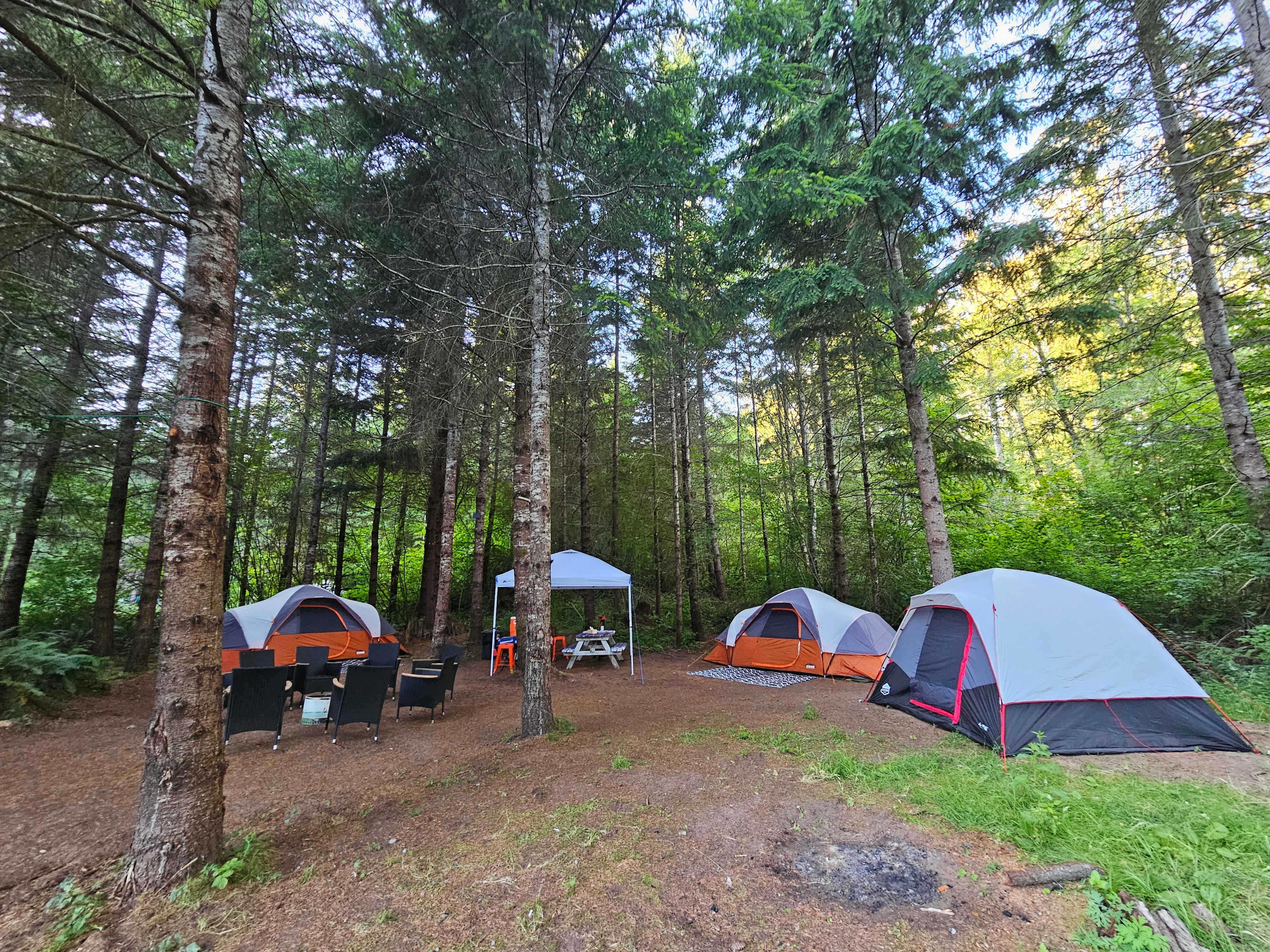 Picture of the site