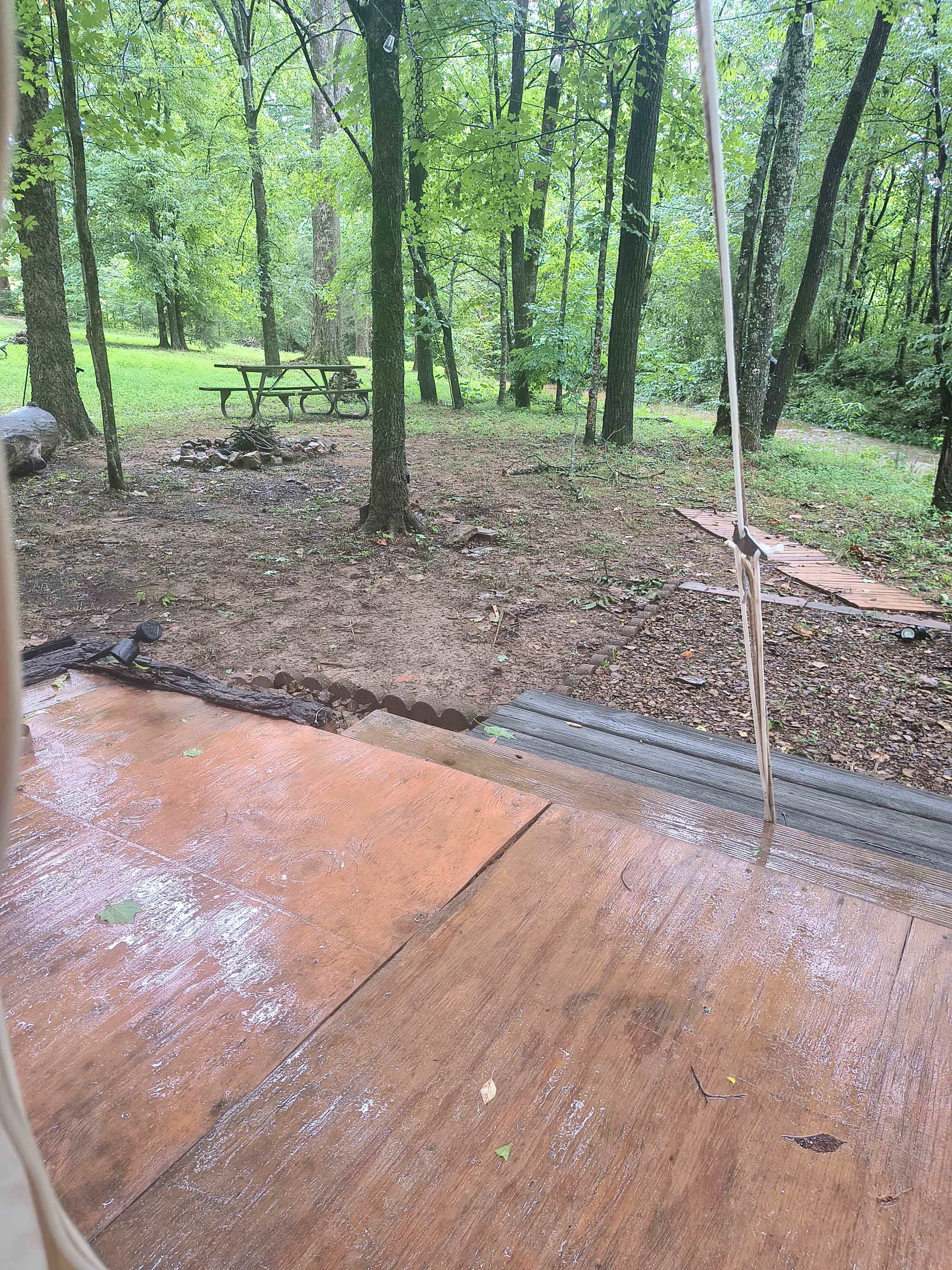 Picture of the site