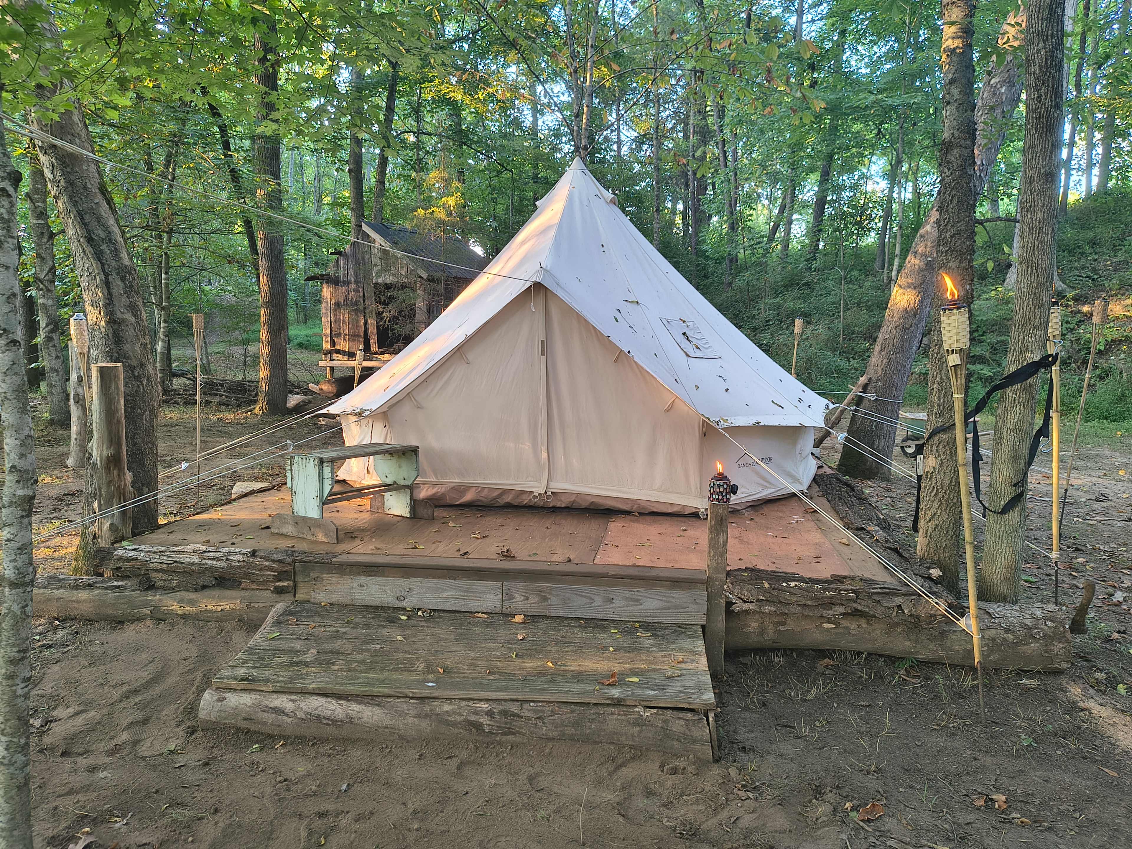 Picture of the site