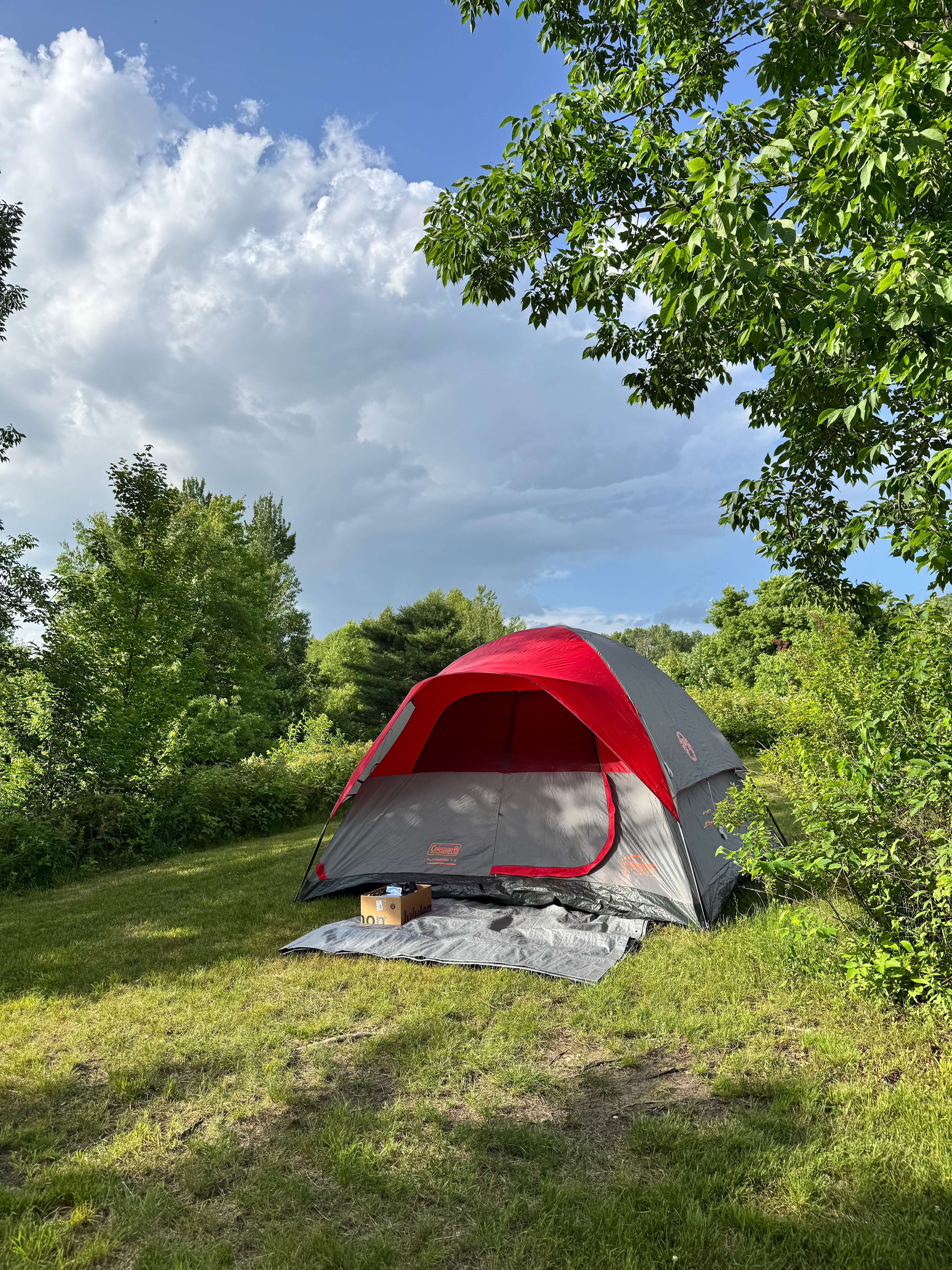 BlueberryHill  Field Camp