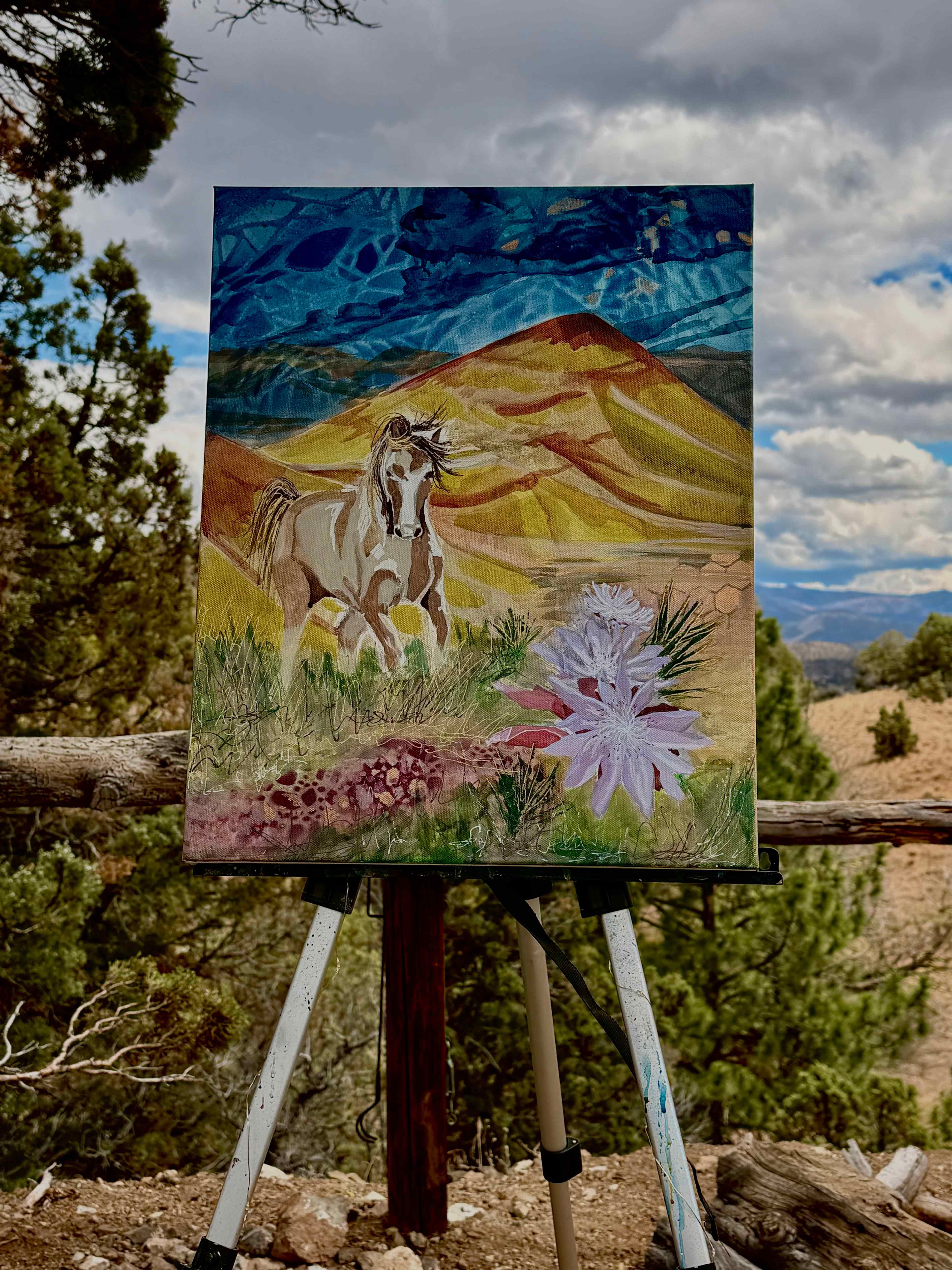 Back Side of Painted Hills Camping