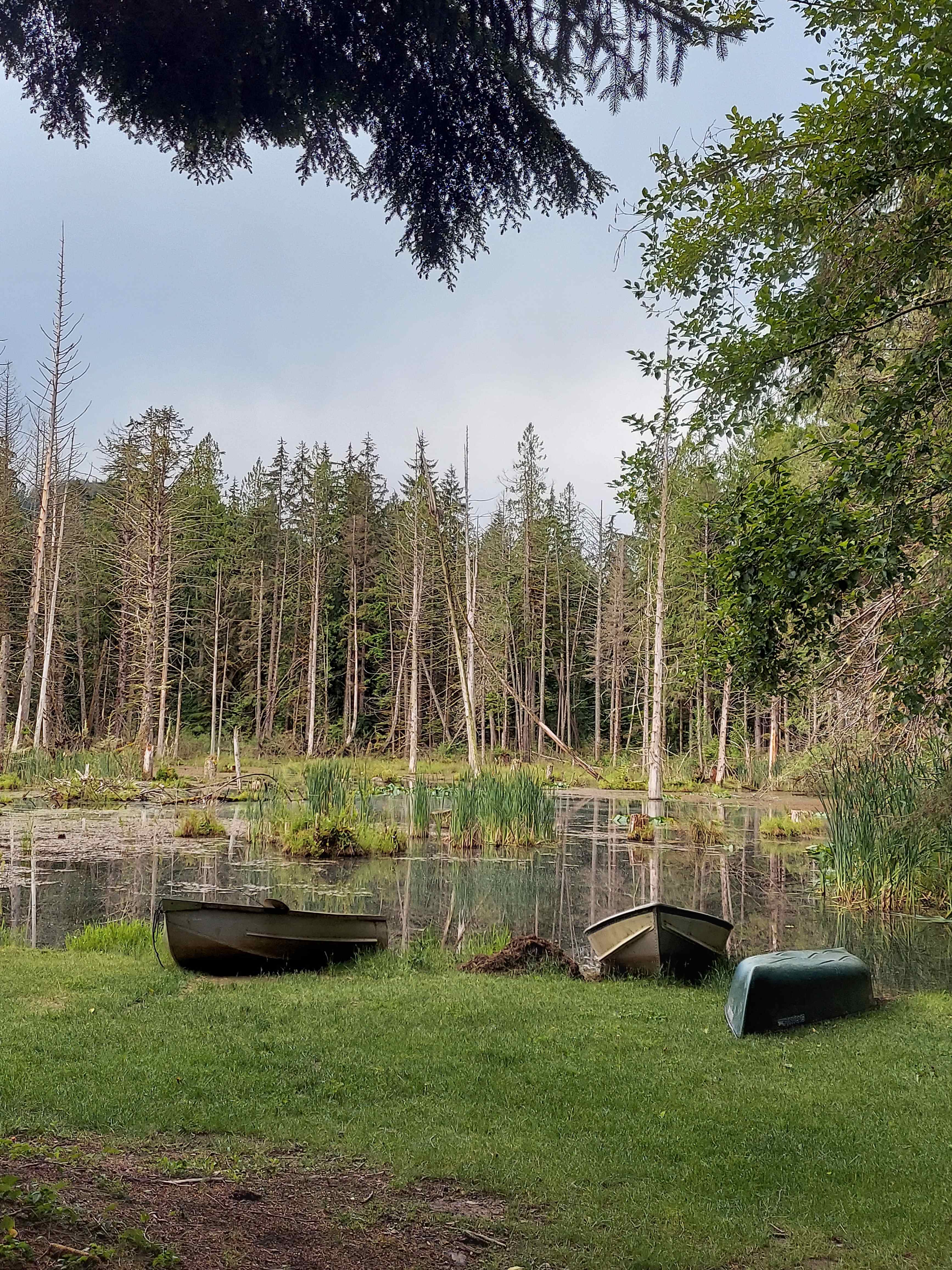 Chuckanut Hills Farm & Camp