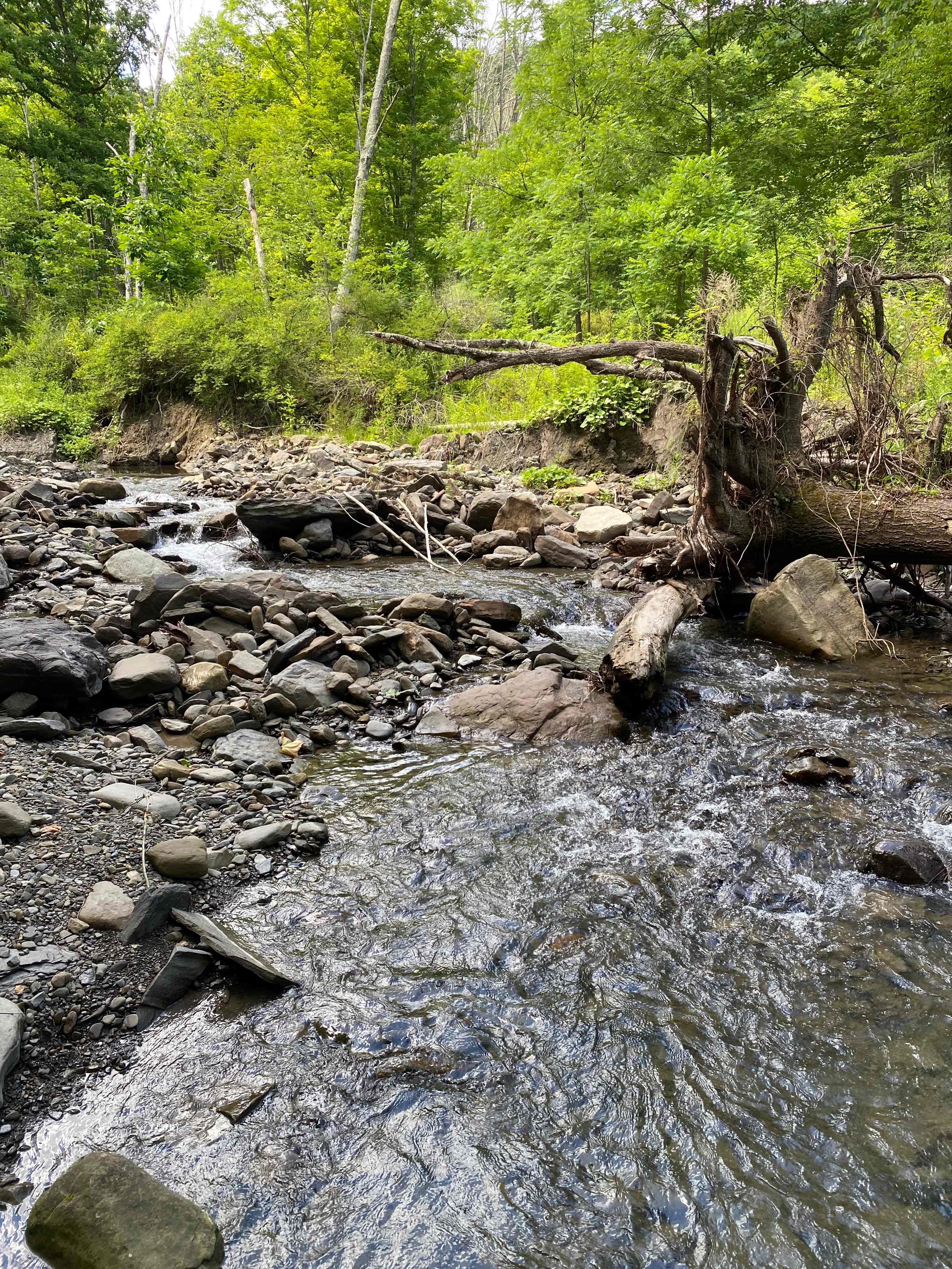 Waterfall Sanctuary & Quiet Retreat