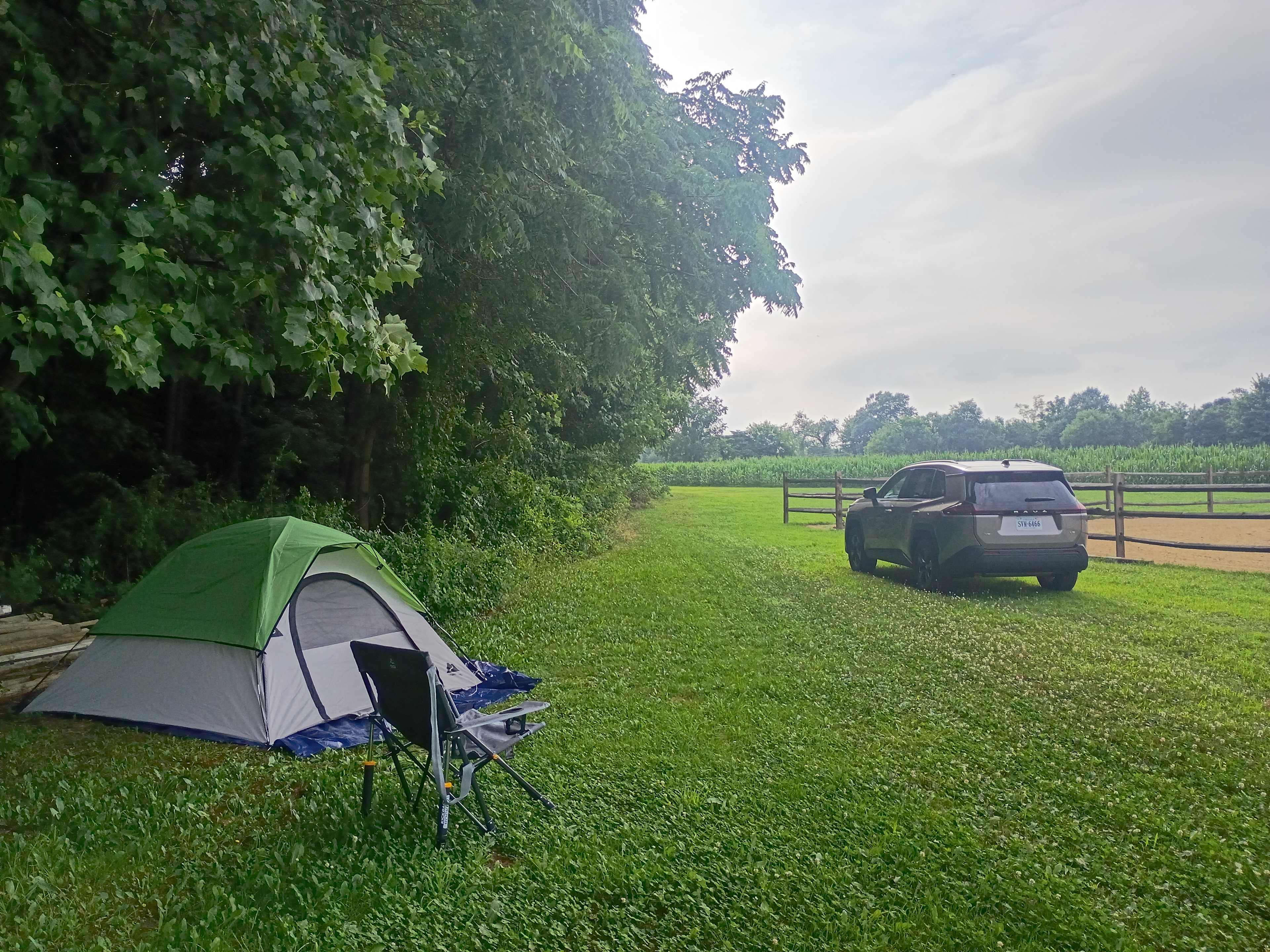 Picture of the site