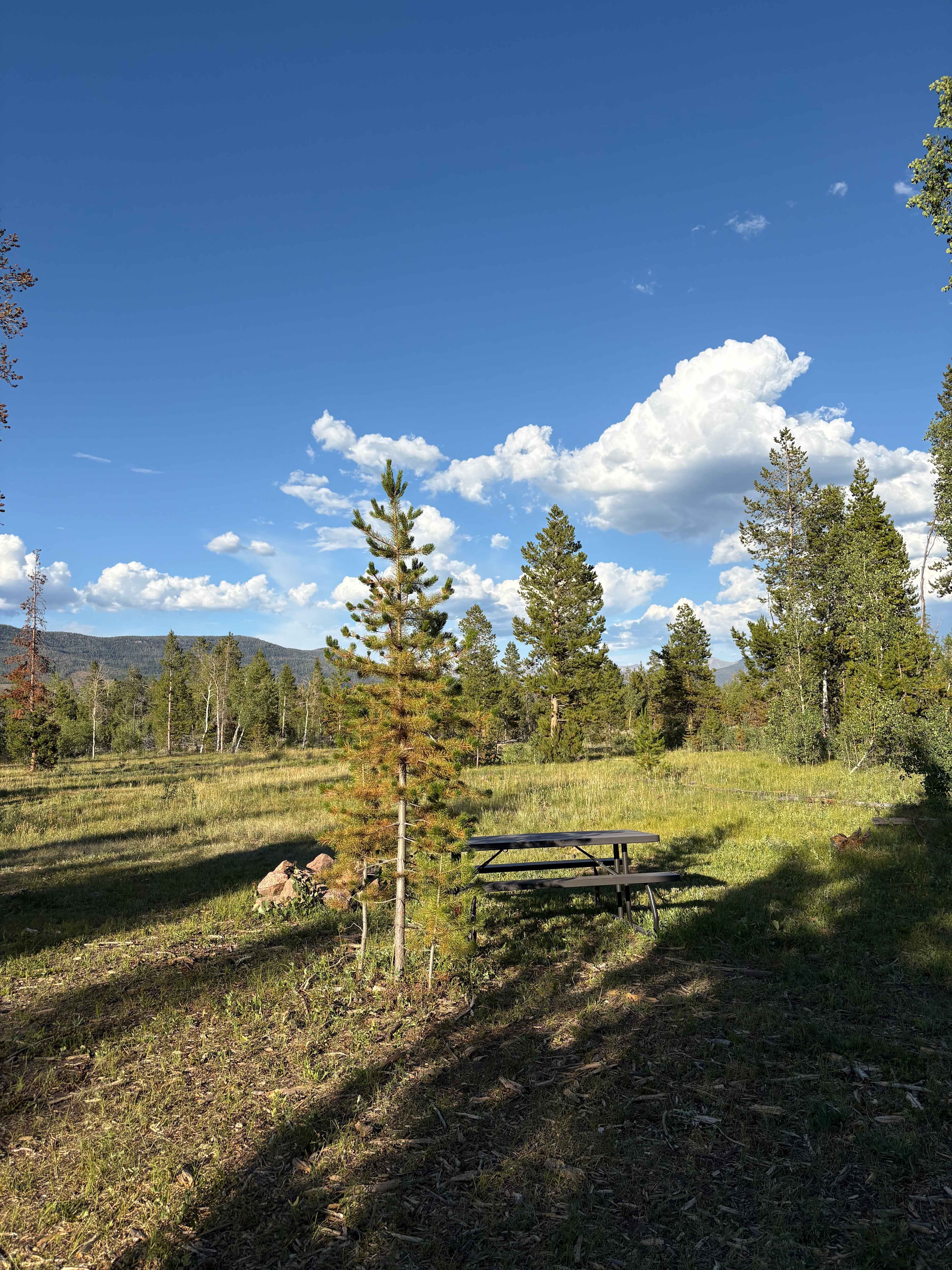Empty tent site with mountain view