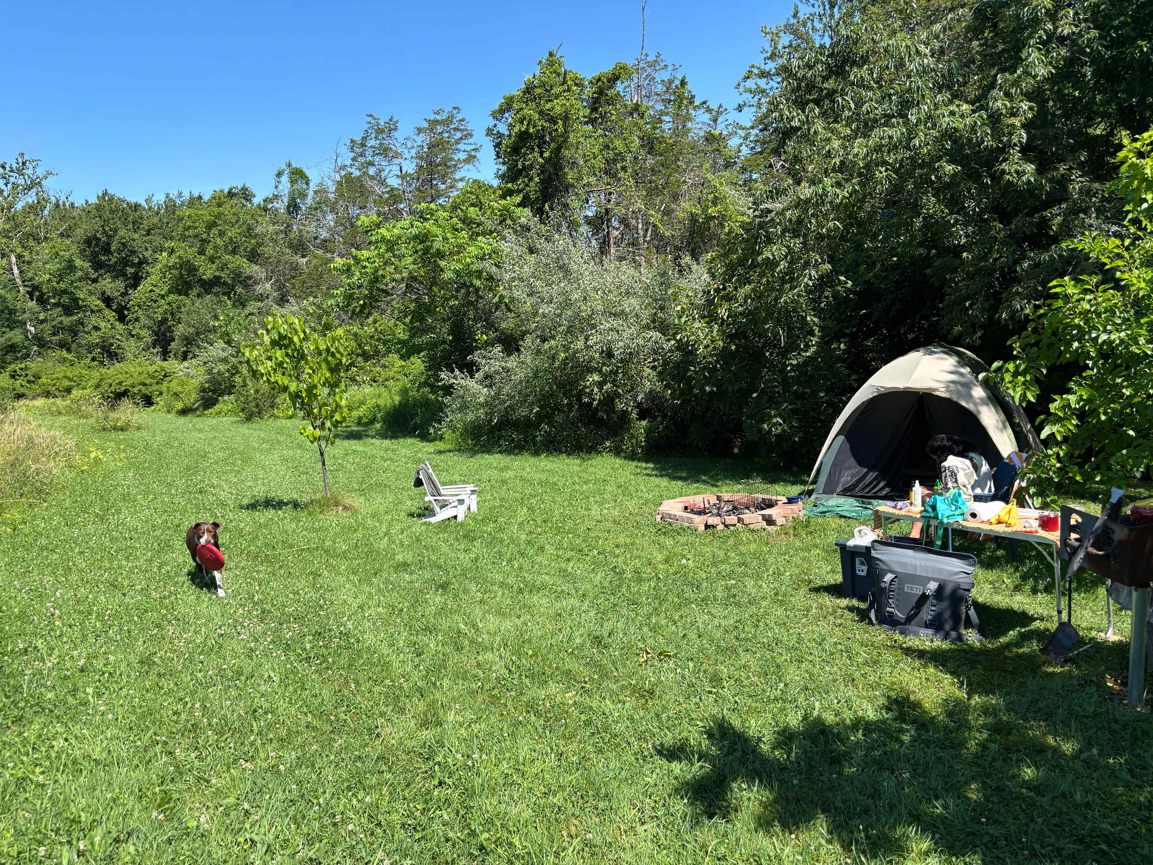 The most perfect private campsite