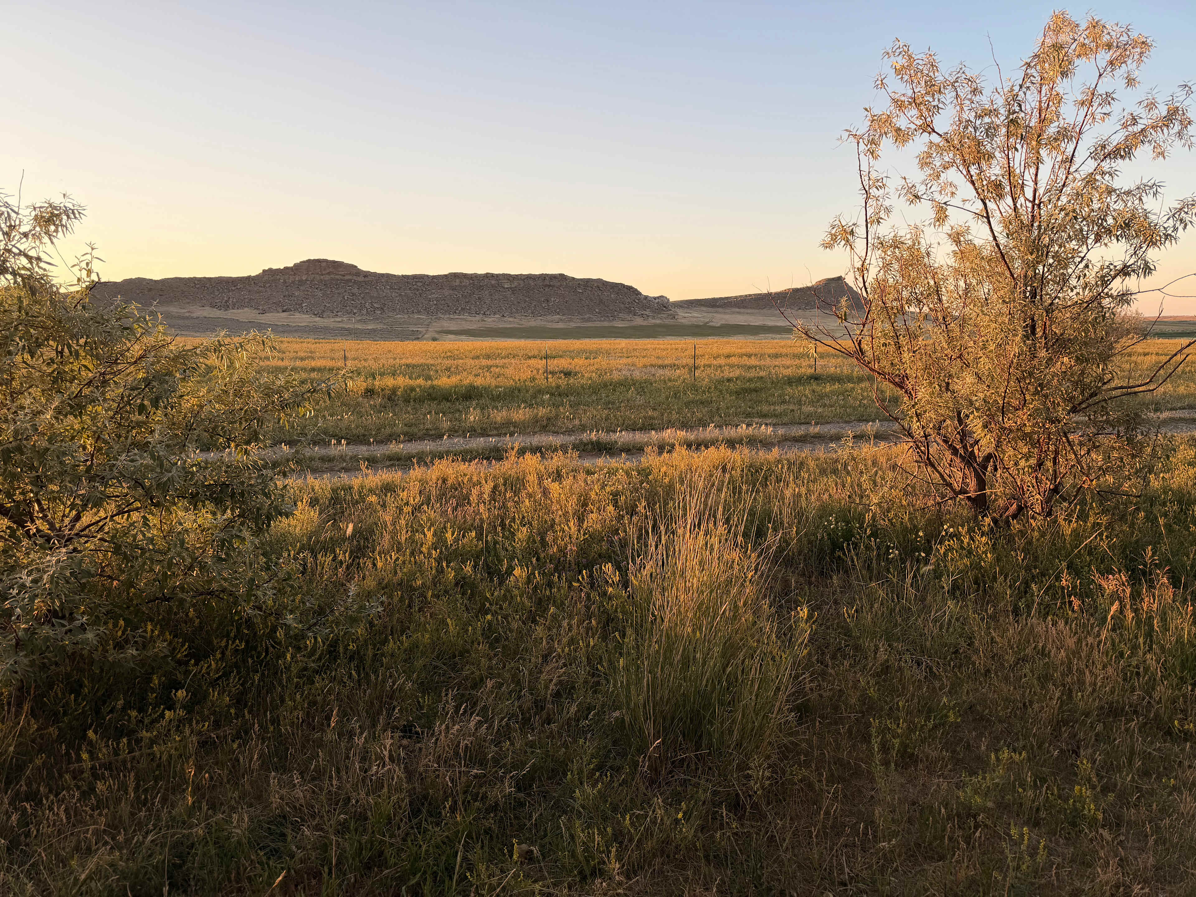 View from site
