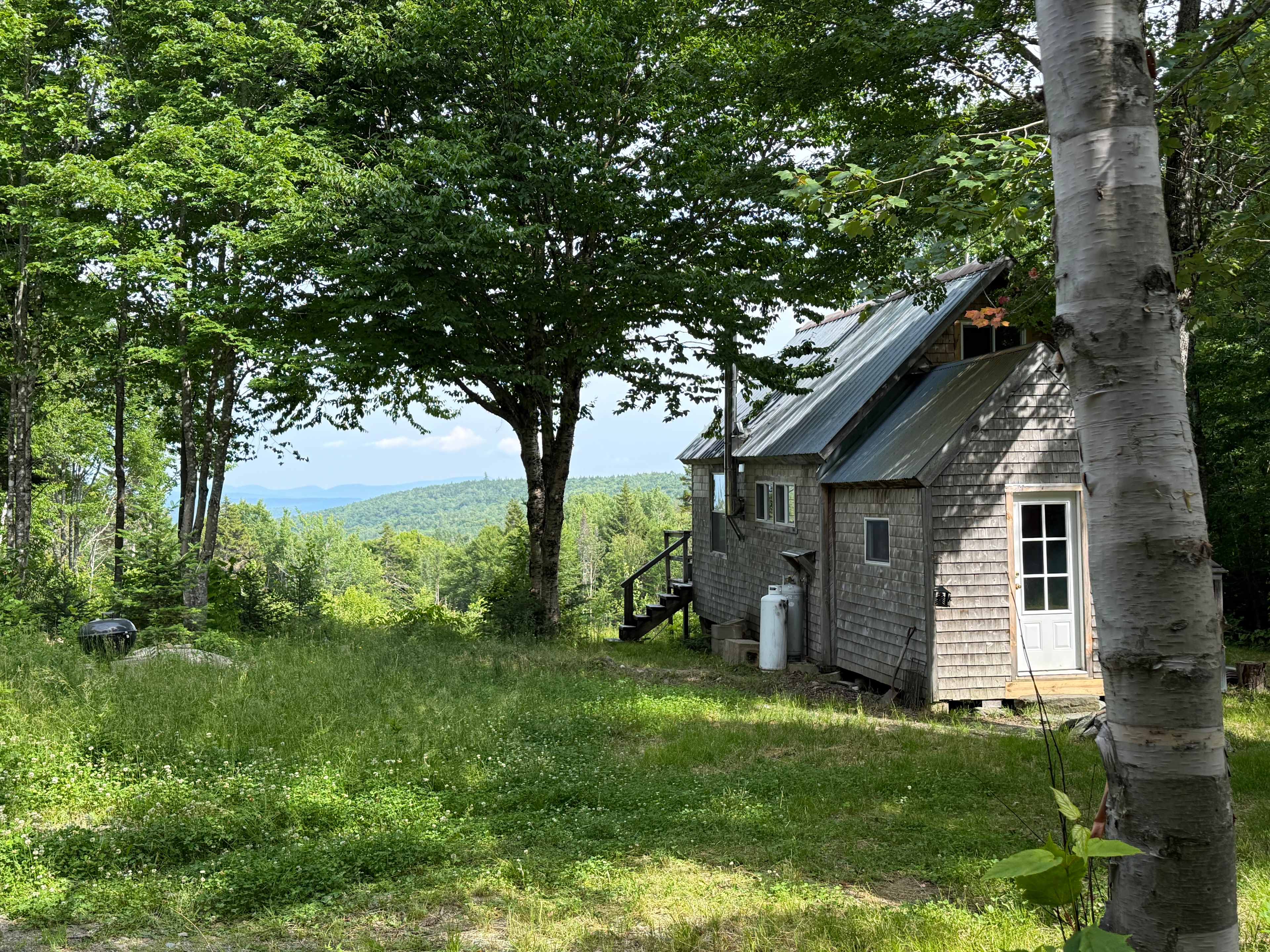 A view from close to site 1, towards the cabin and clearing.