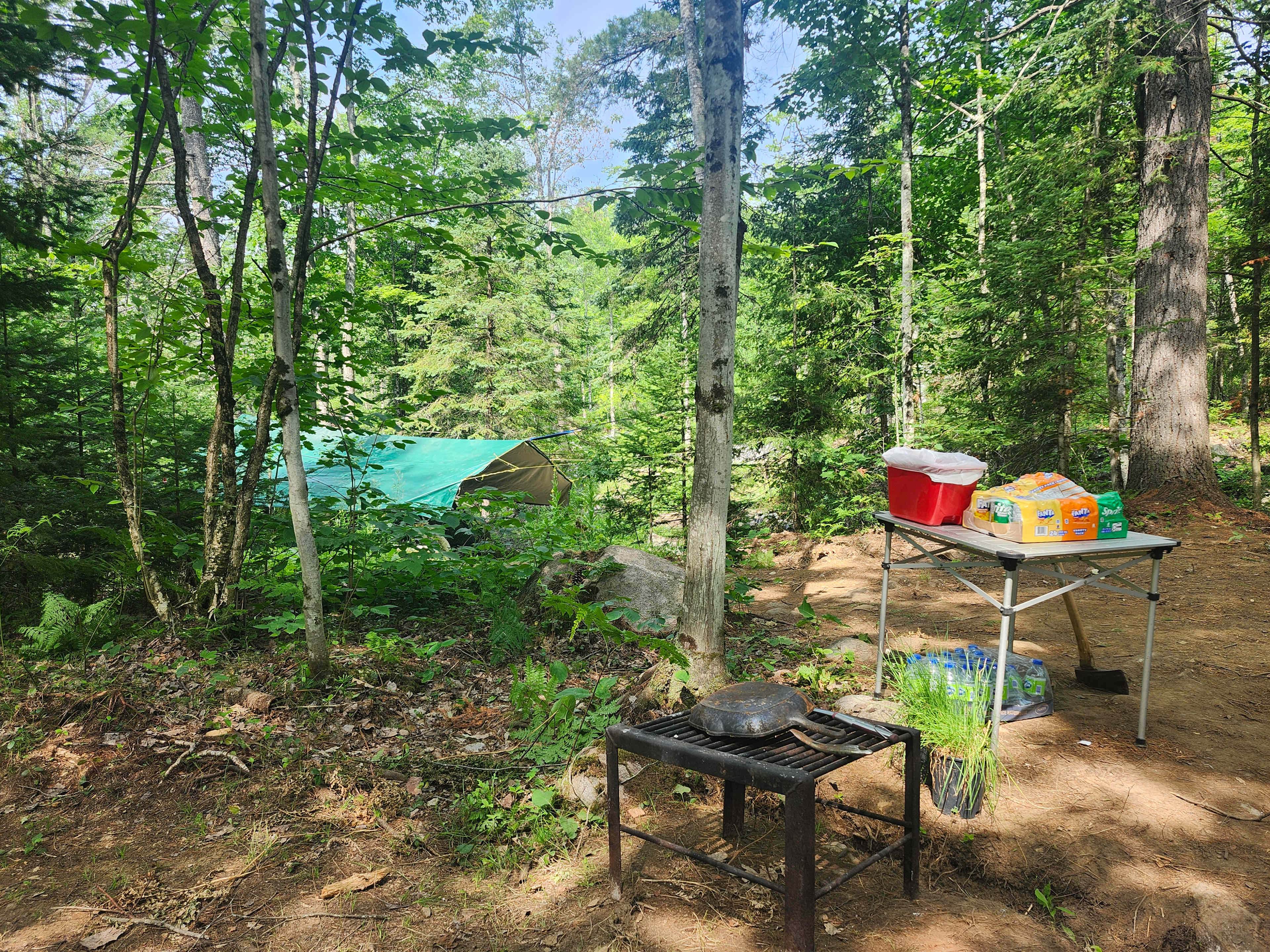 Brookside camping spot! 